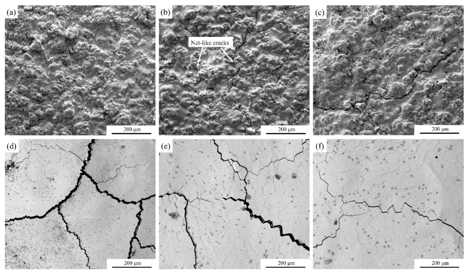 Coatings 12 00107 g003
