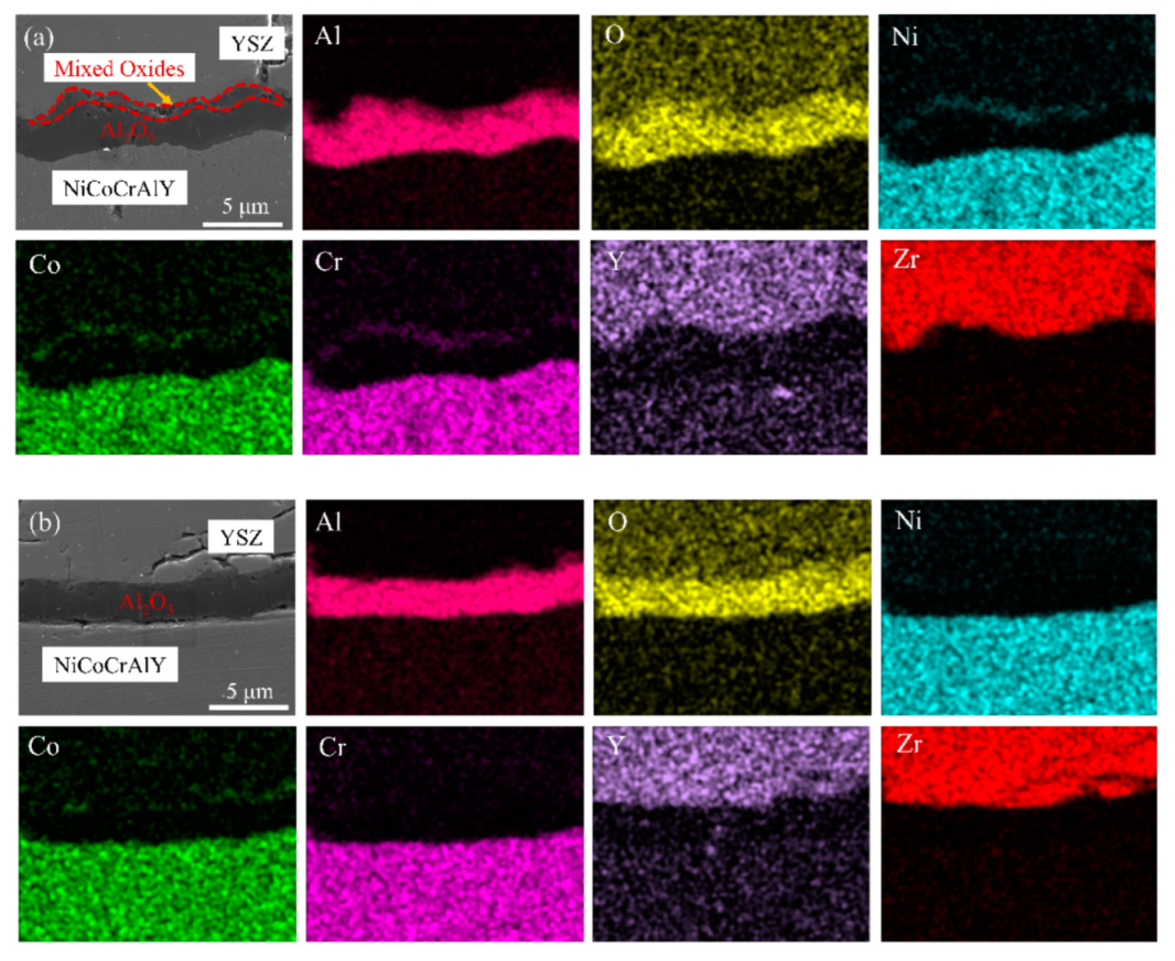 Coatings 12 00107 g008