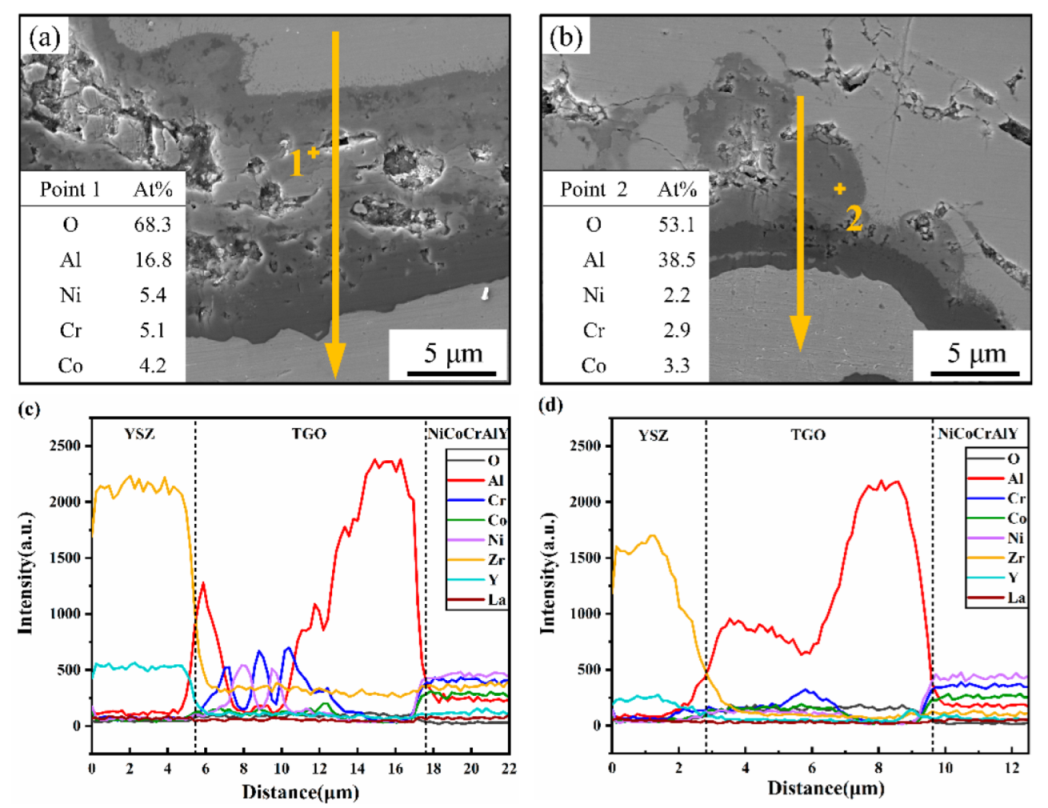 Coatings 12 00107 g009