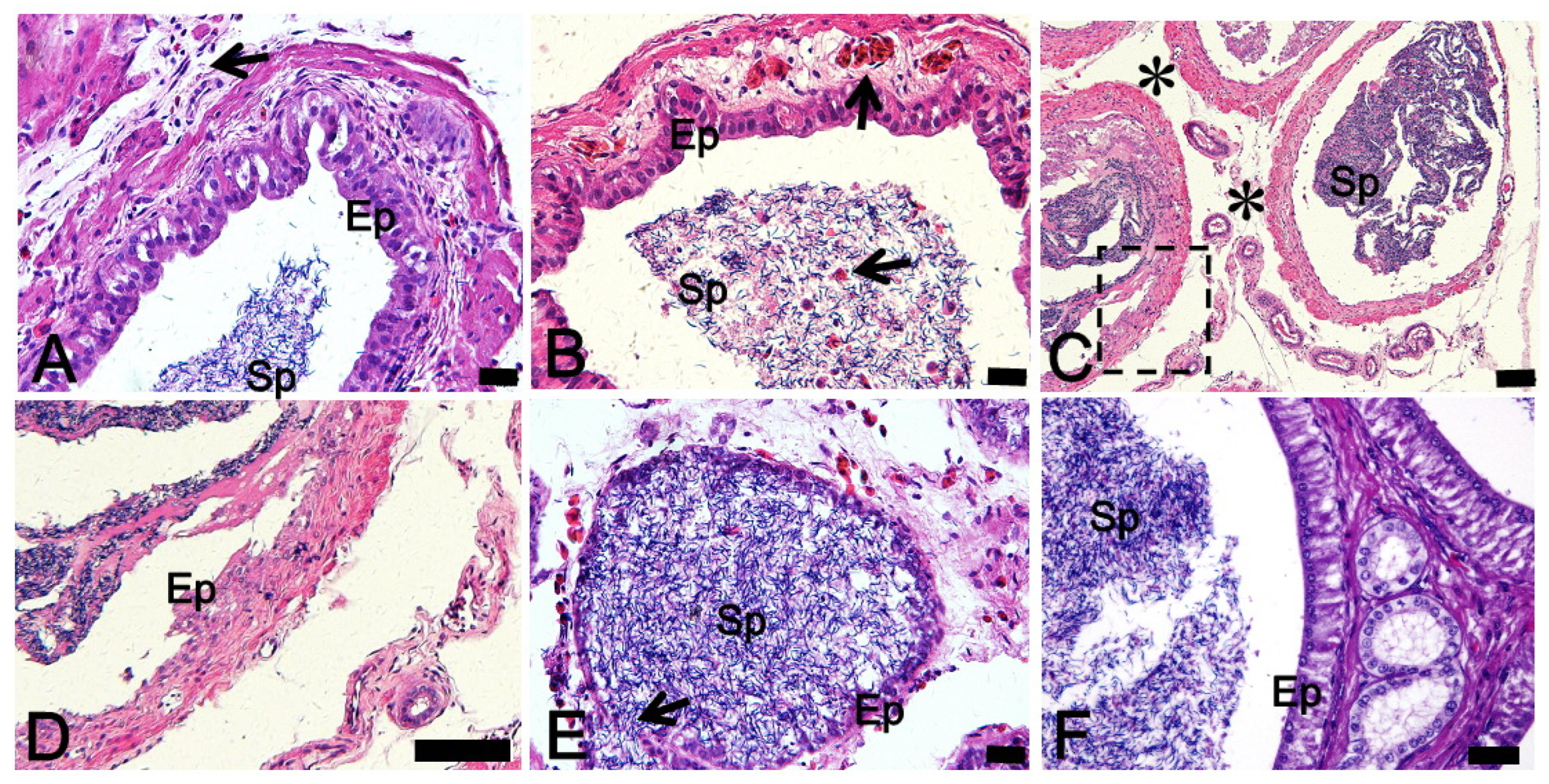 Coatings 12 00110 g002 550