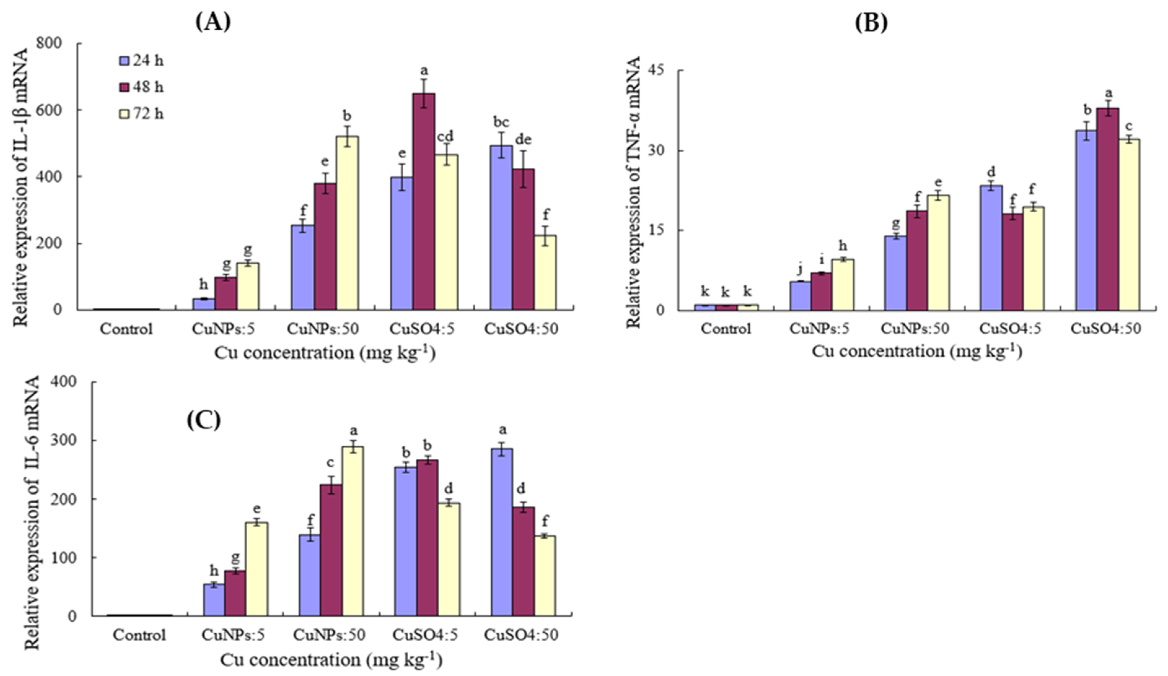 Coatings 12 00110 g004 550