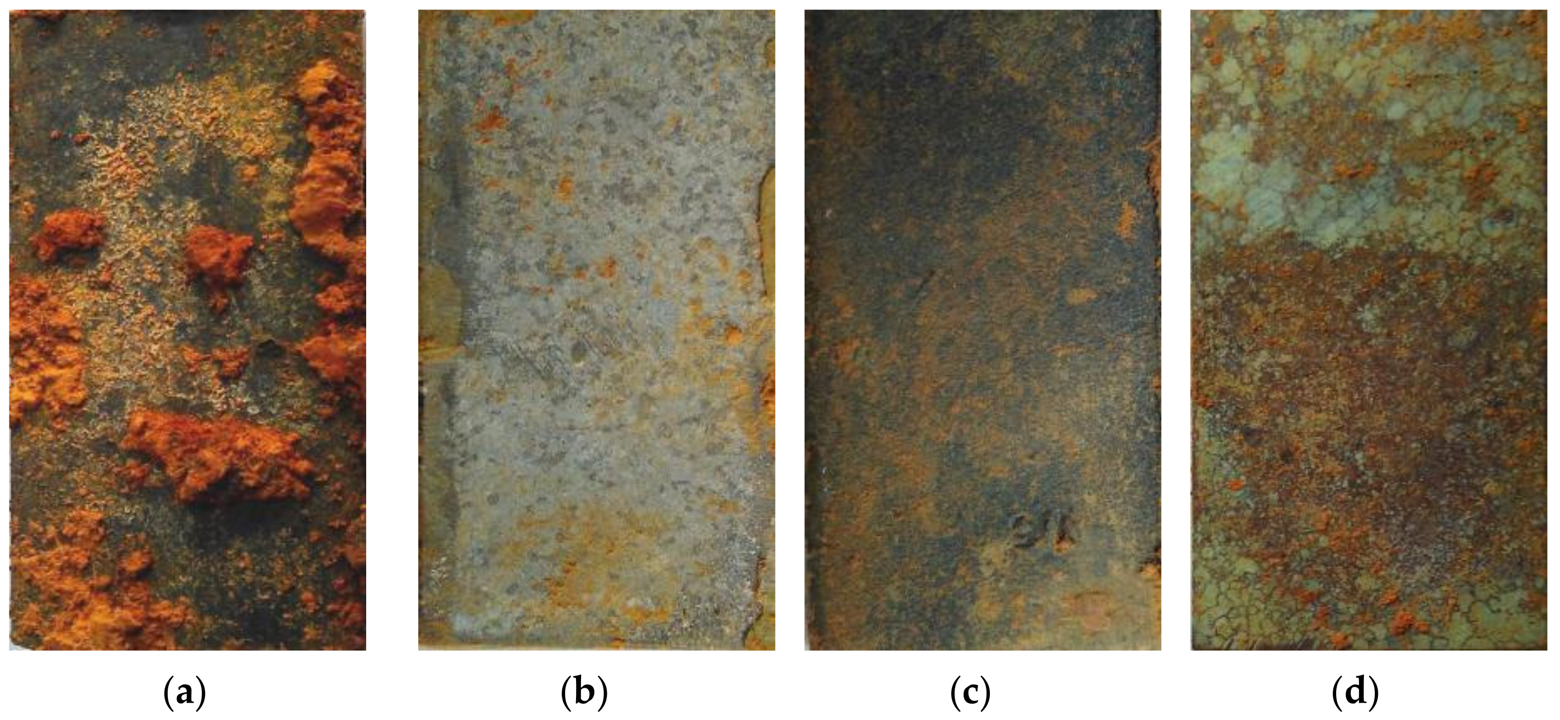 Coatings 12 00111 g004 550