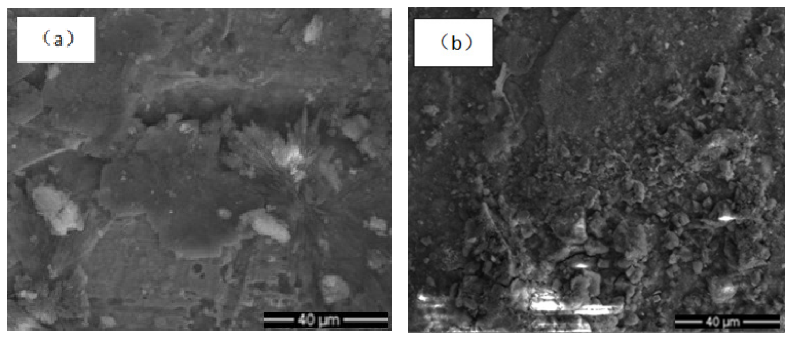 Coatings 12 00111 g005a 550