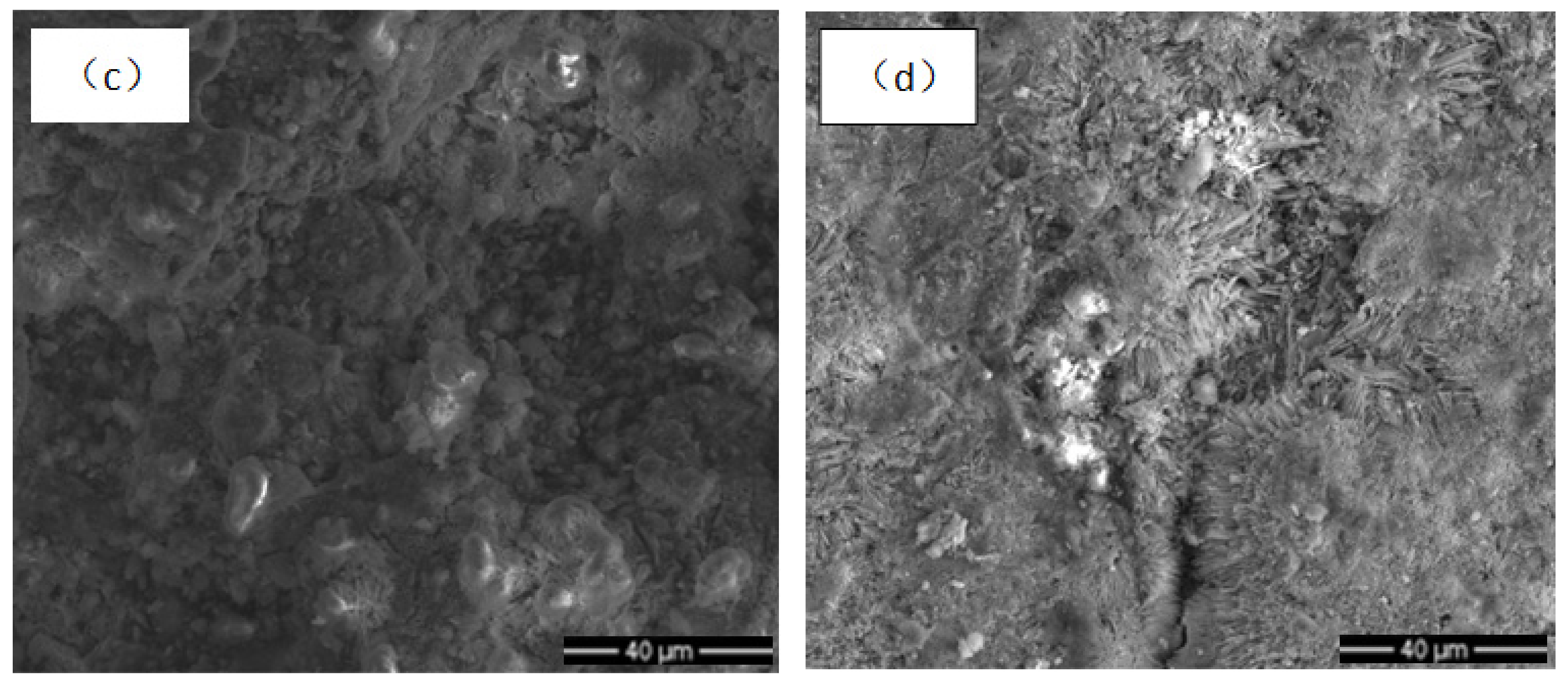 Coatings 12 00111 g005b 550