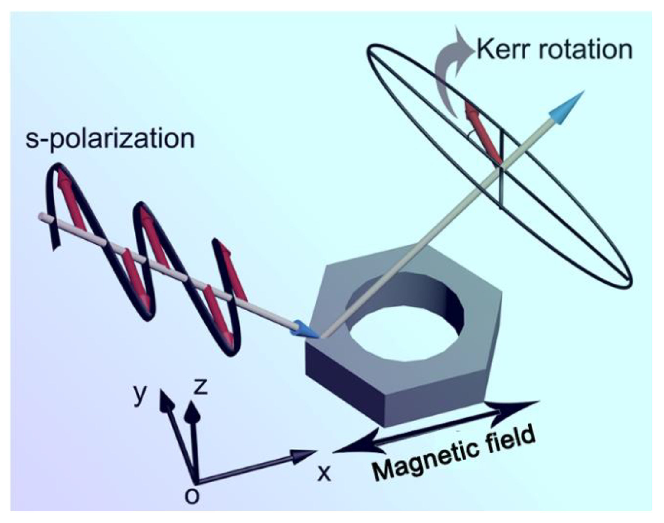 Coatings 12 00115 g001