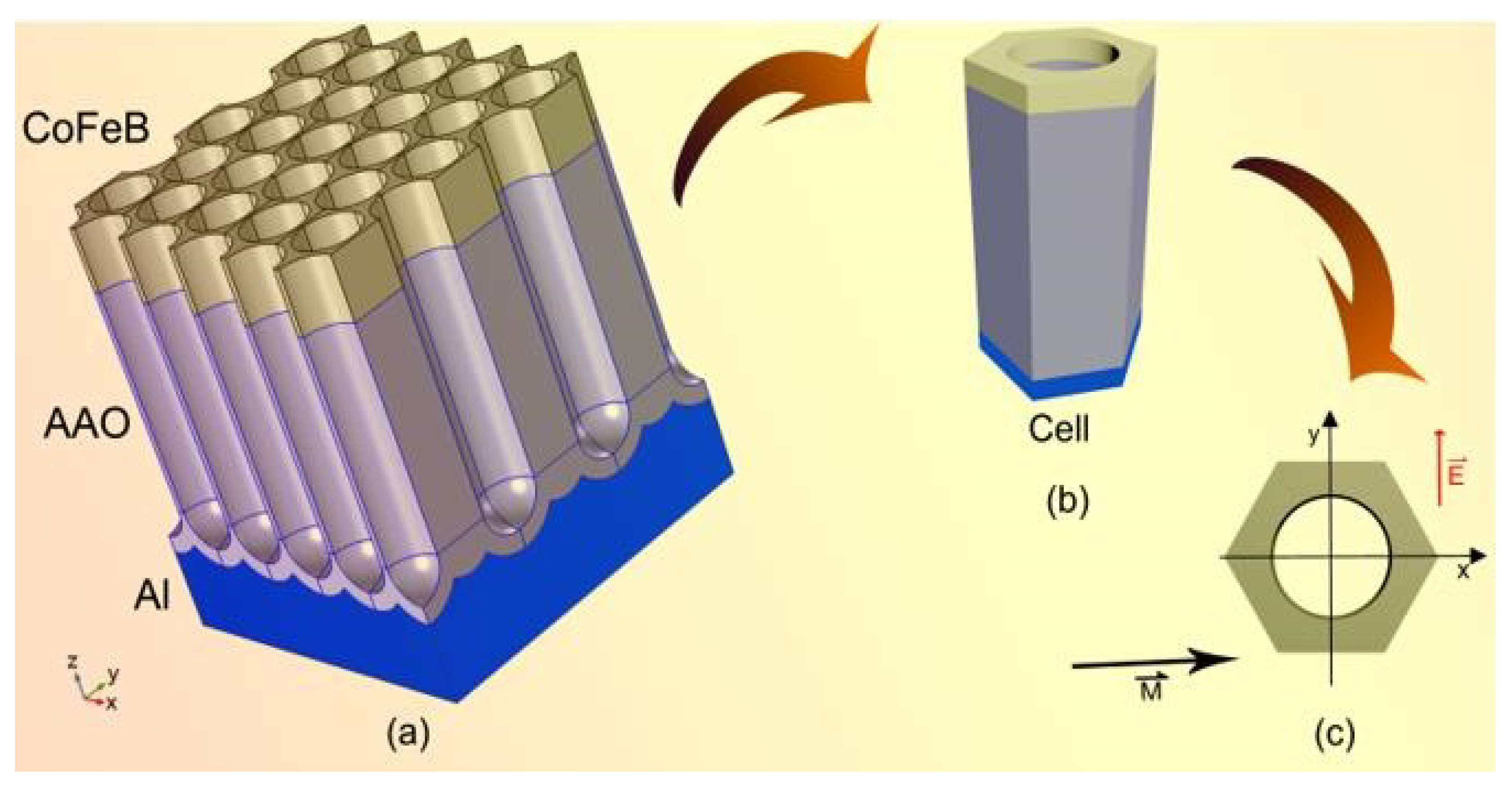 Coatings 12 00115 g002