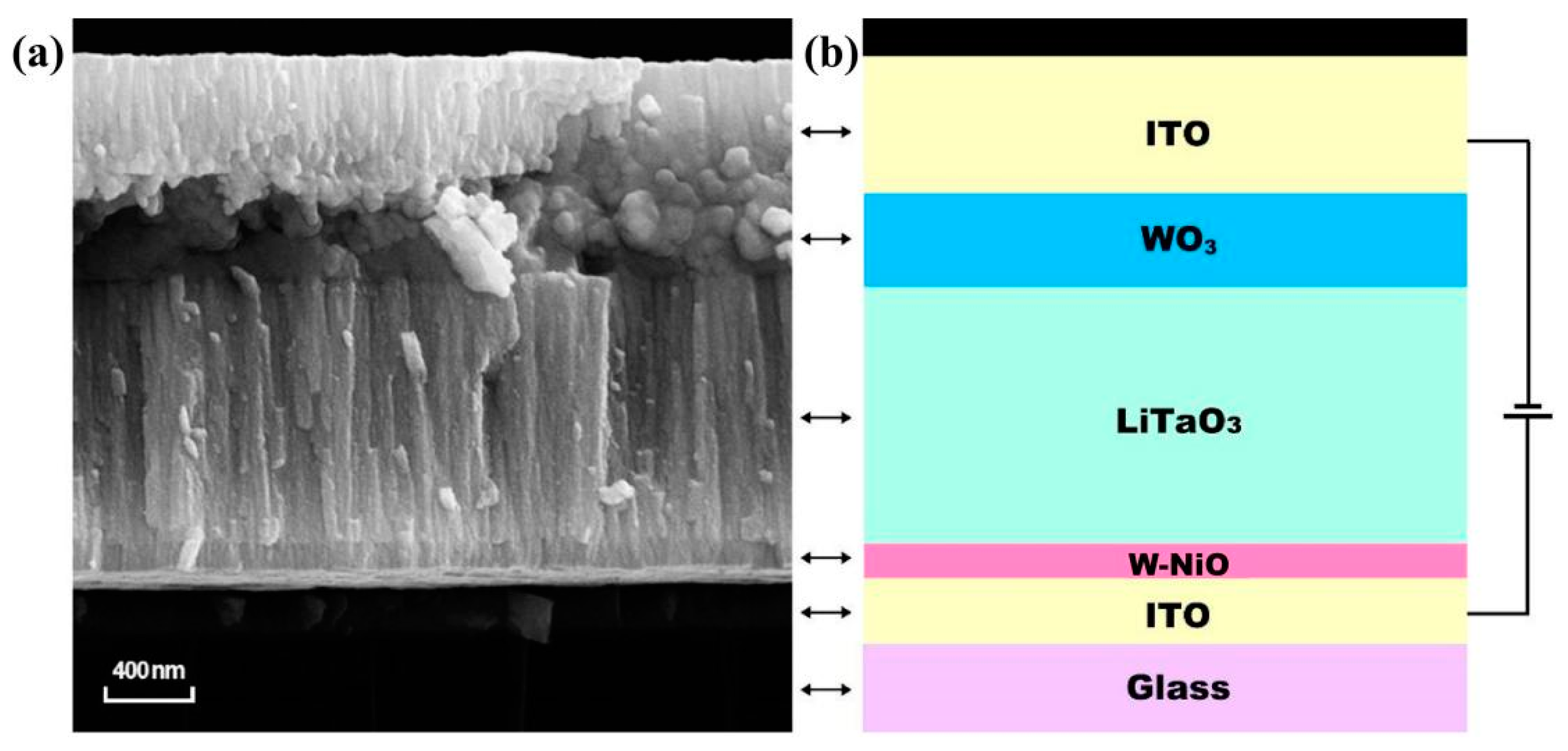 Coatings 12 00118 g005