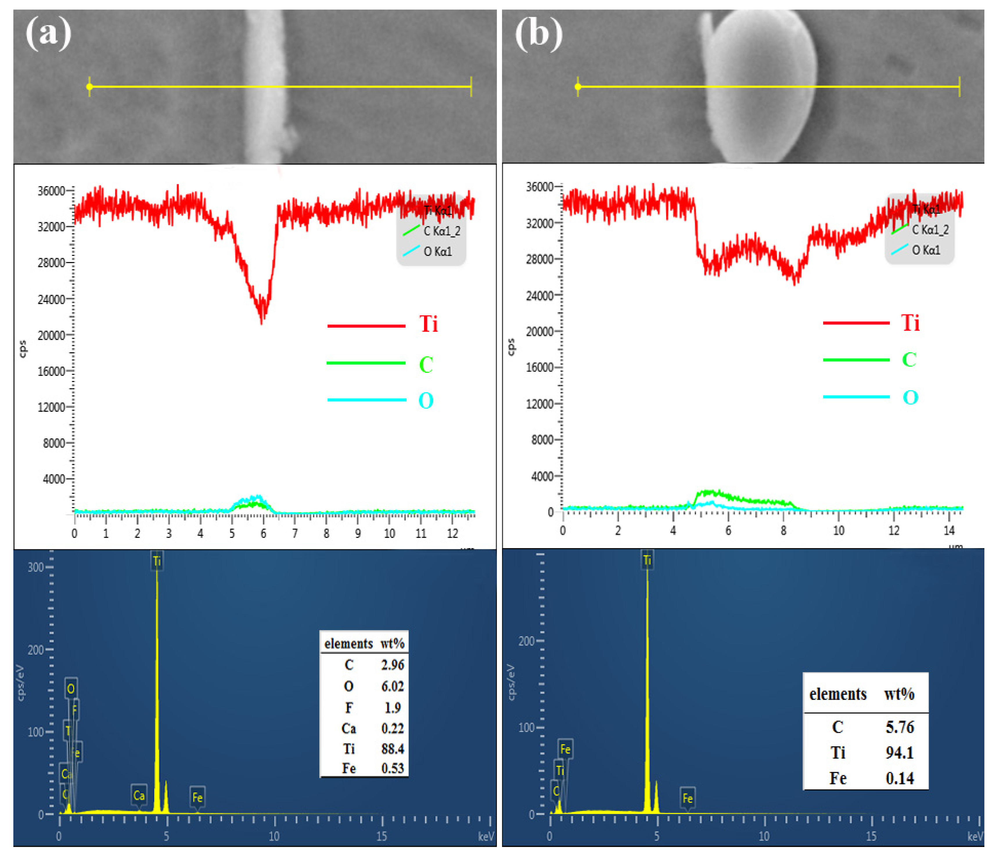 Coatings 12 00120 g004