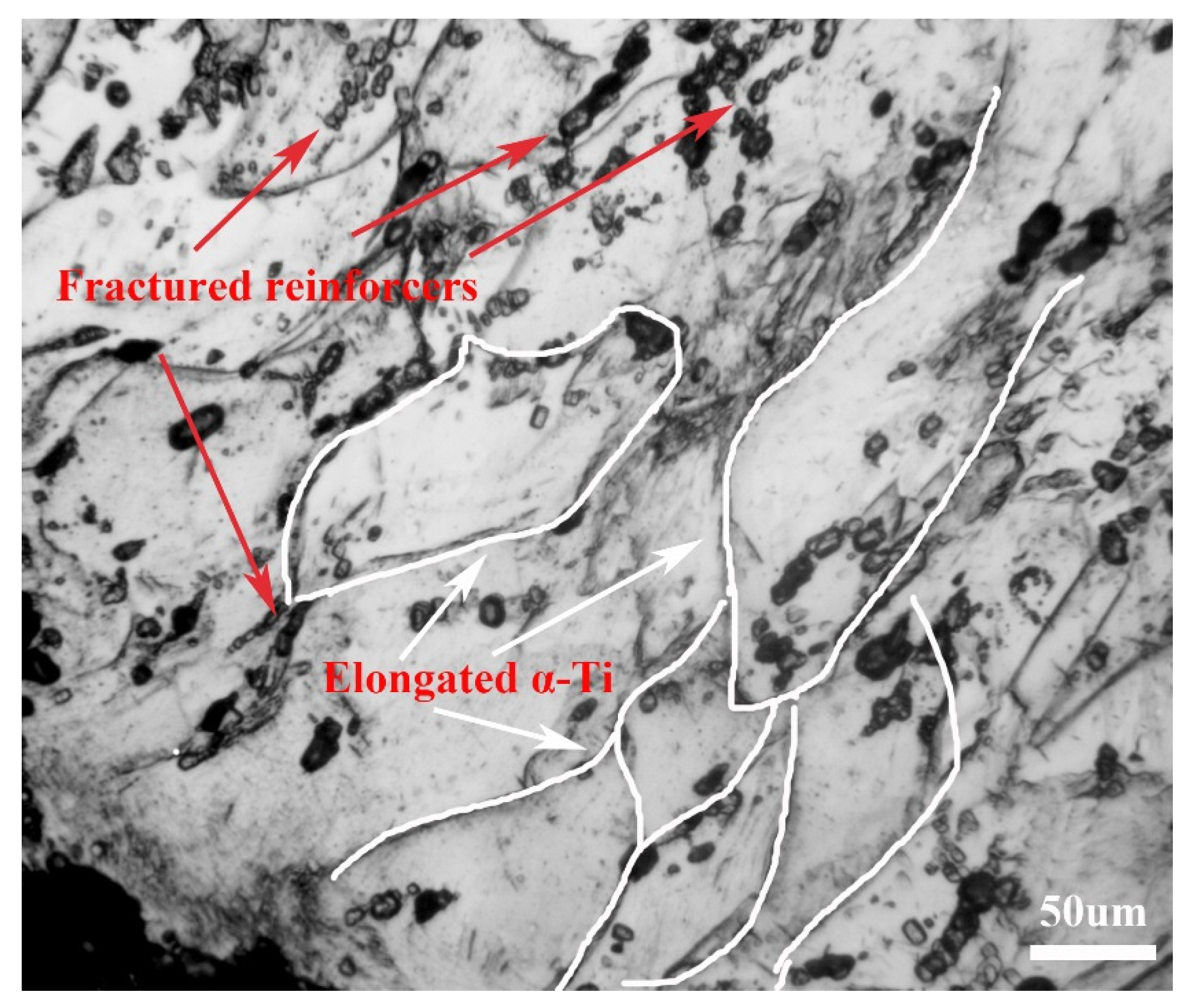 Coatings 12 00120 g007