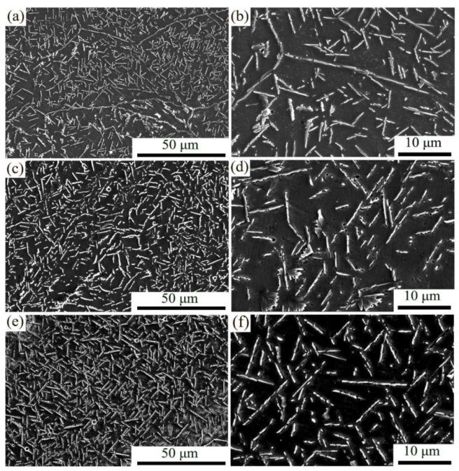 Coatings 12 00121 g003 550