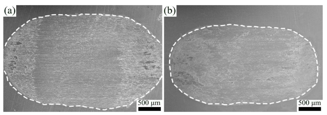 Coatings 12 00121 g008 550