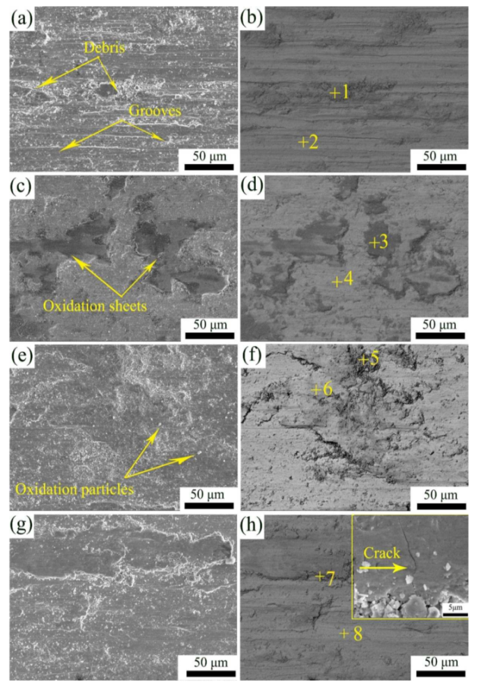 Coatings 12 00121 g010 550
