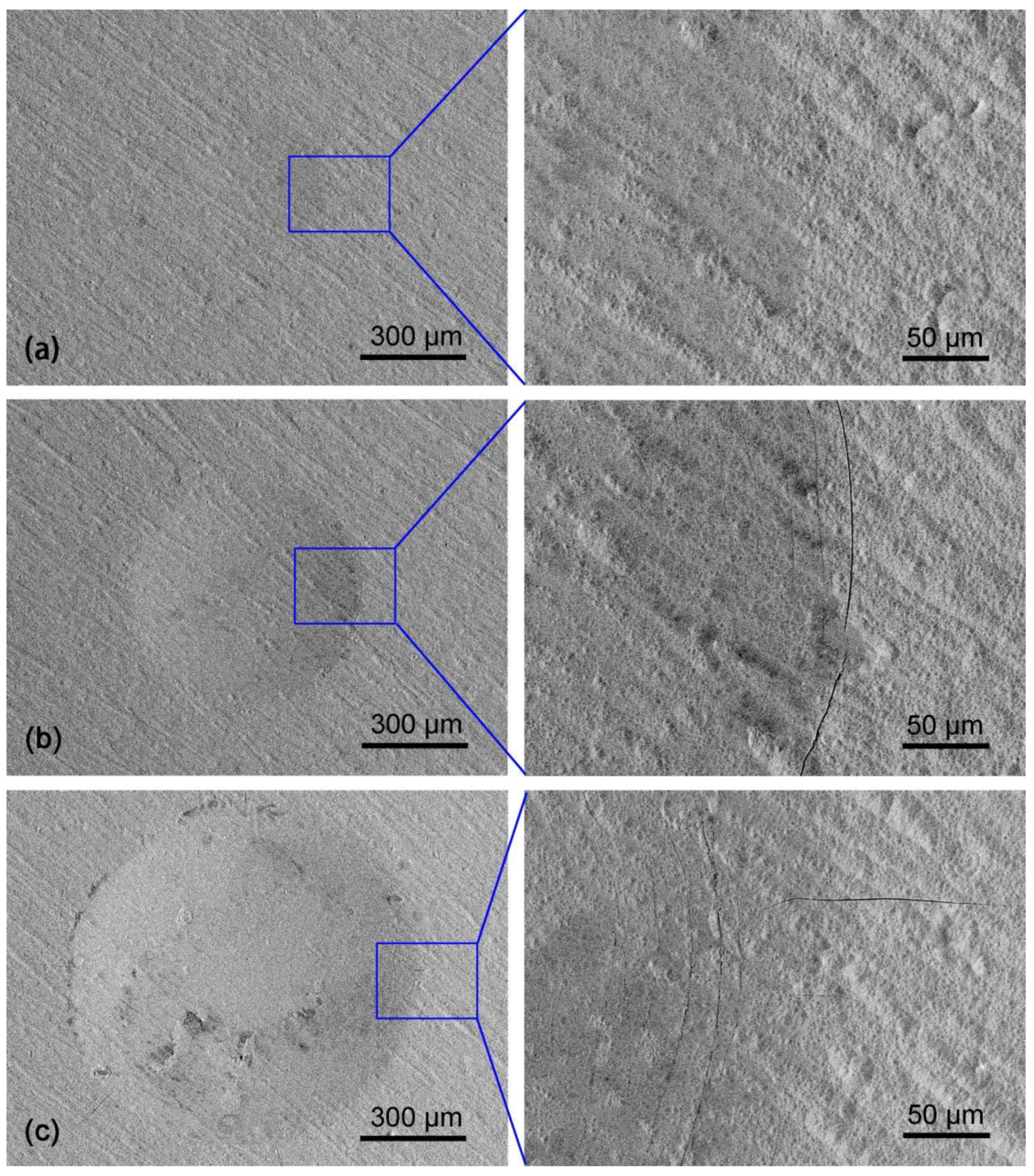 Coatings 12 00123 g009