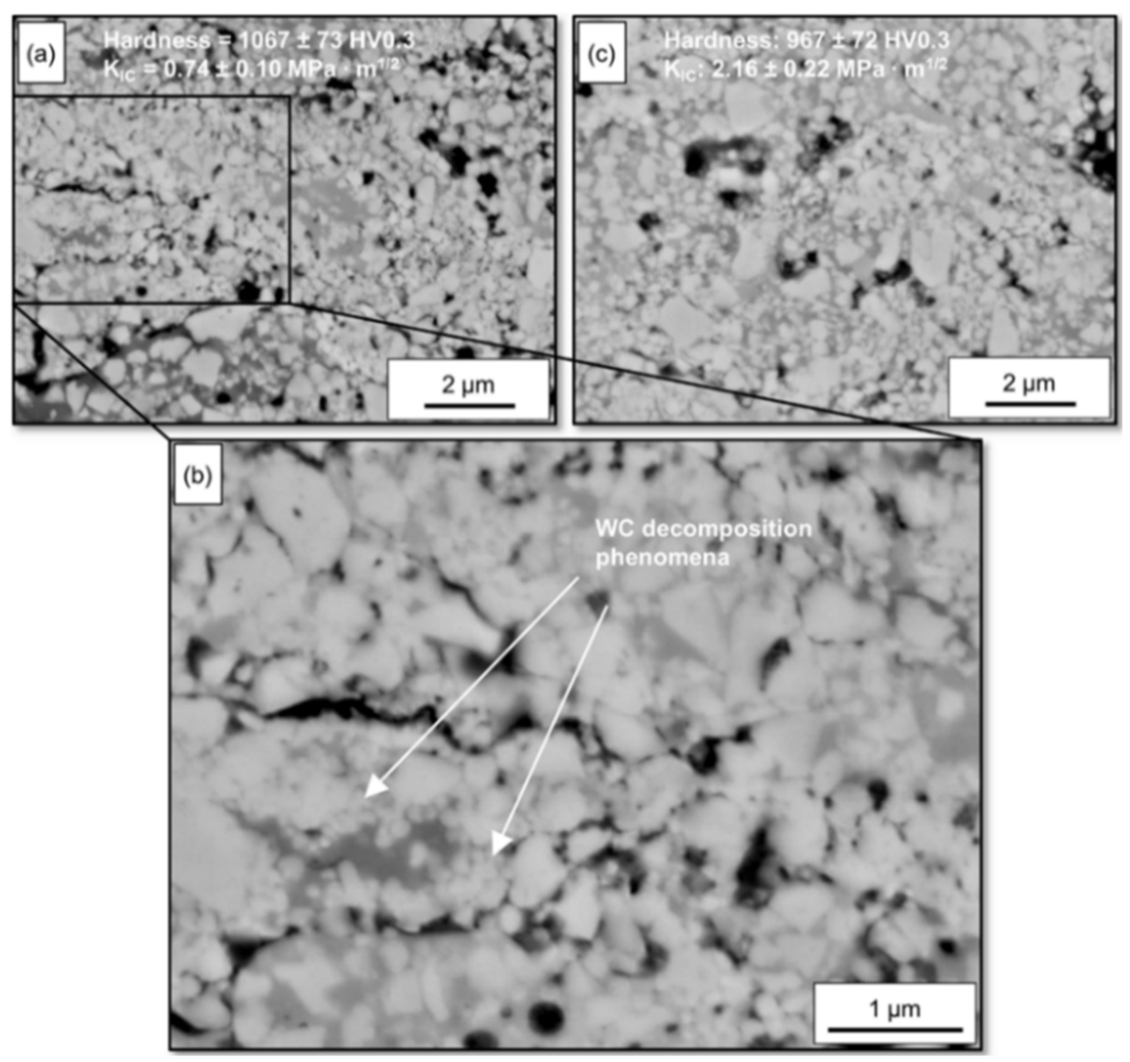 Coatings 12 00124 g004 550