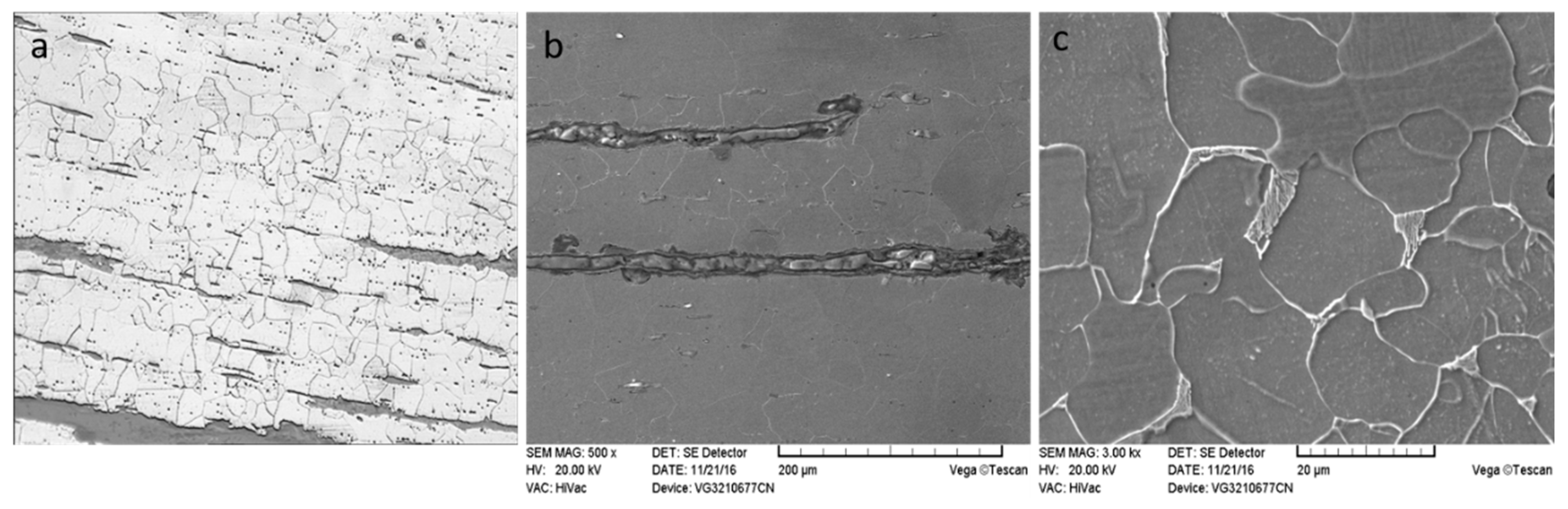 Coatings 12 00128 g003 550