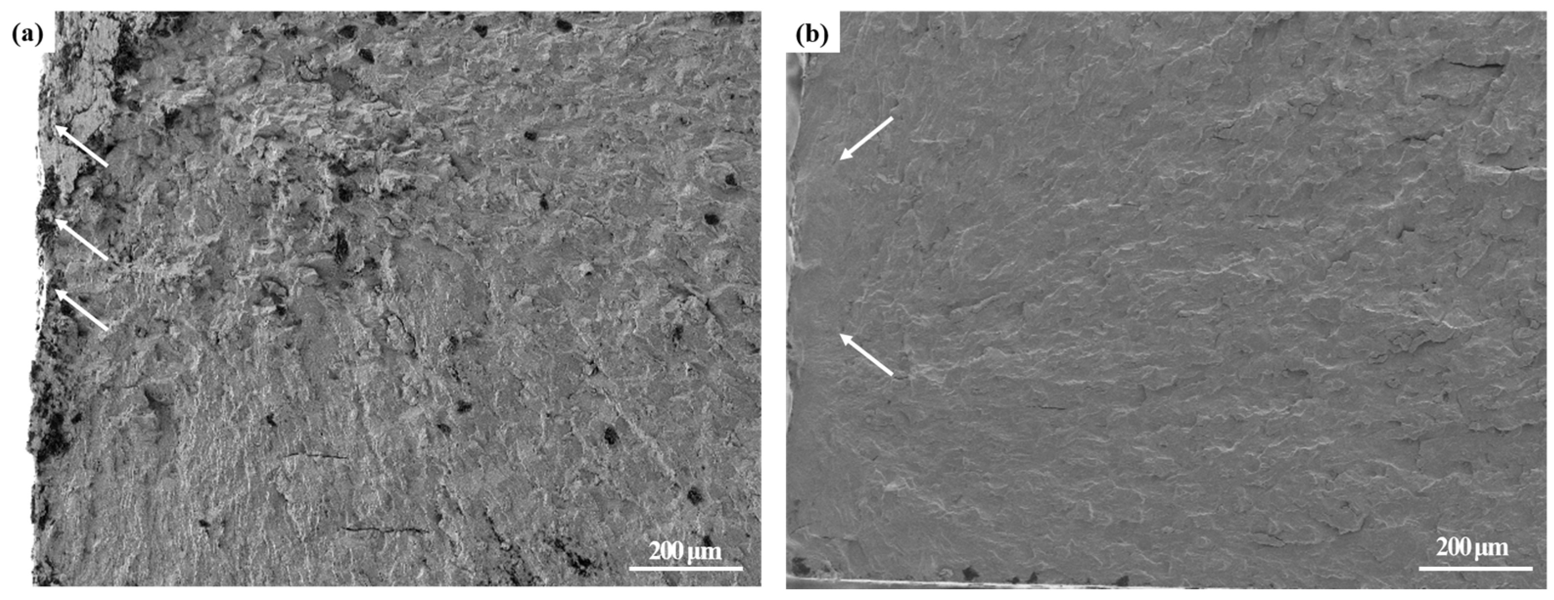 Coatings 12 00131 g008