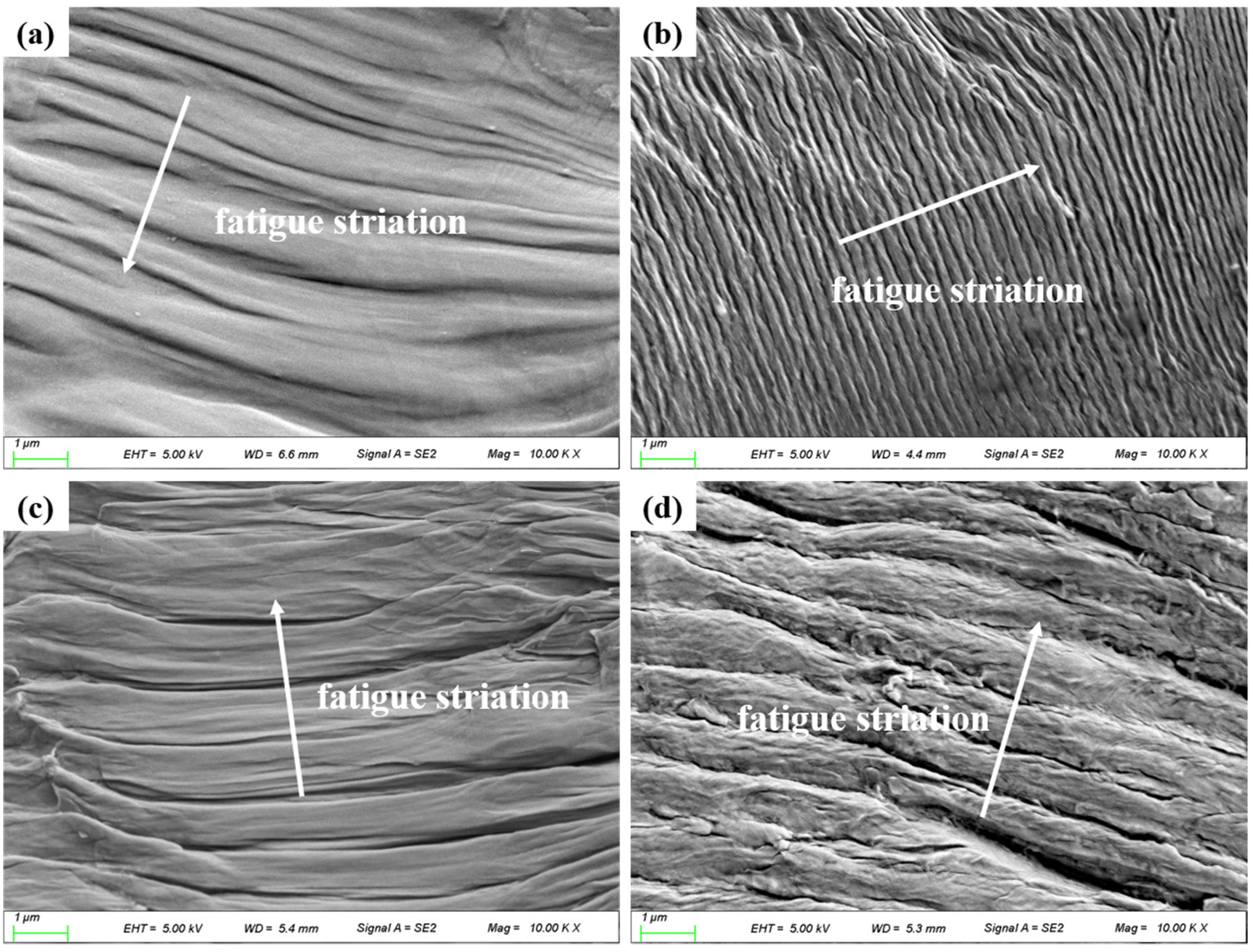 Coatings 12 00131 g011
