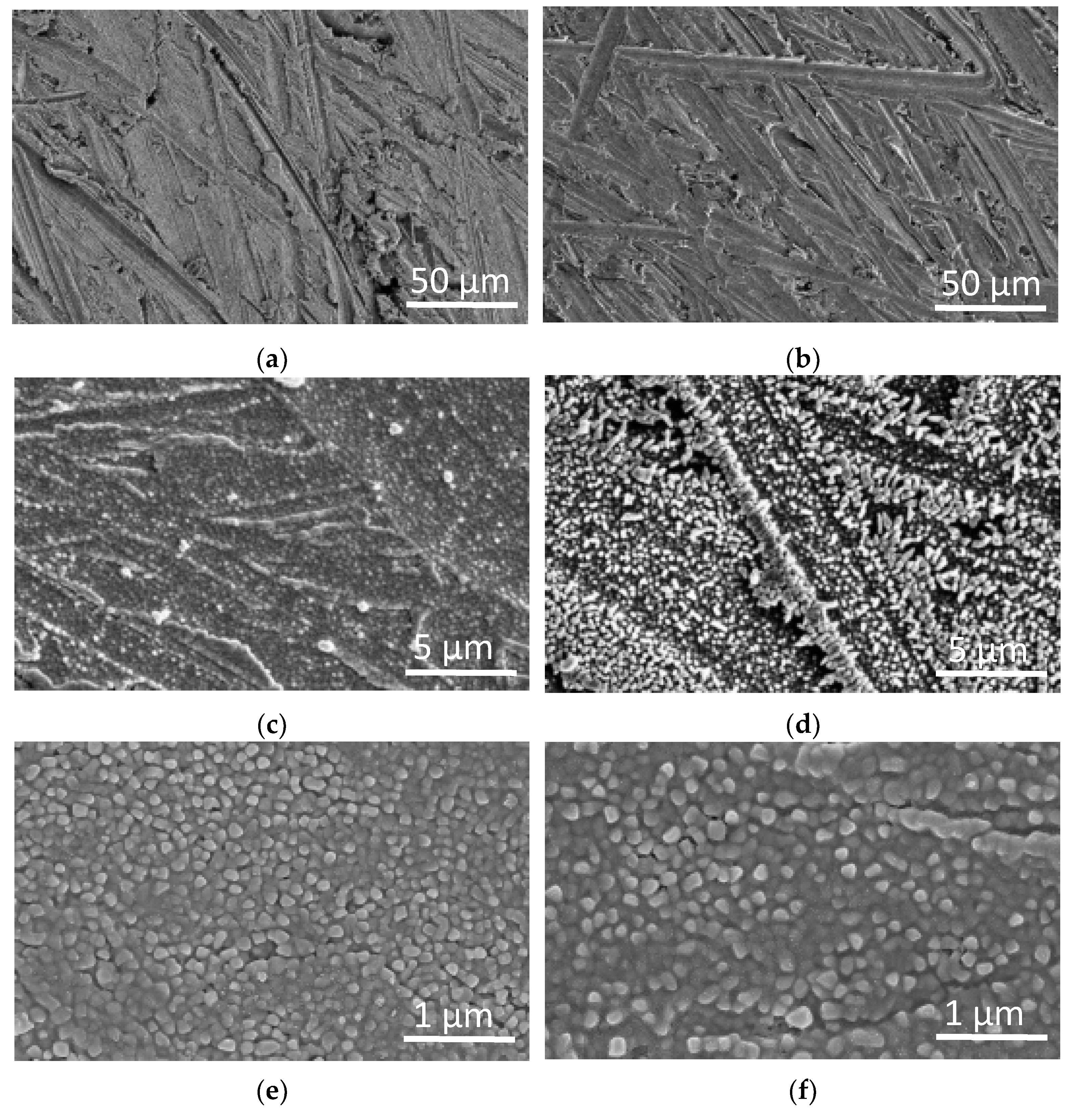 Coatings 12 00134 g001a 550