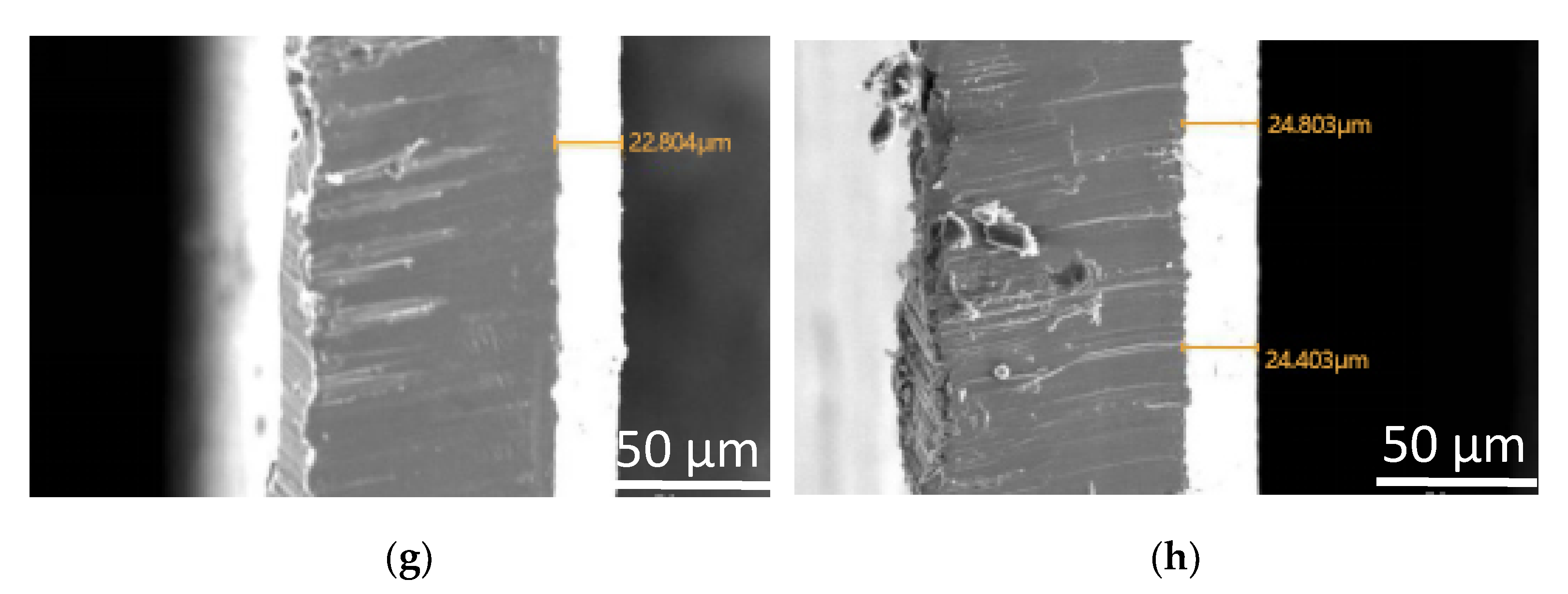 Coatings 12 00134 g001b 550