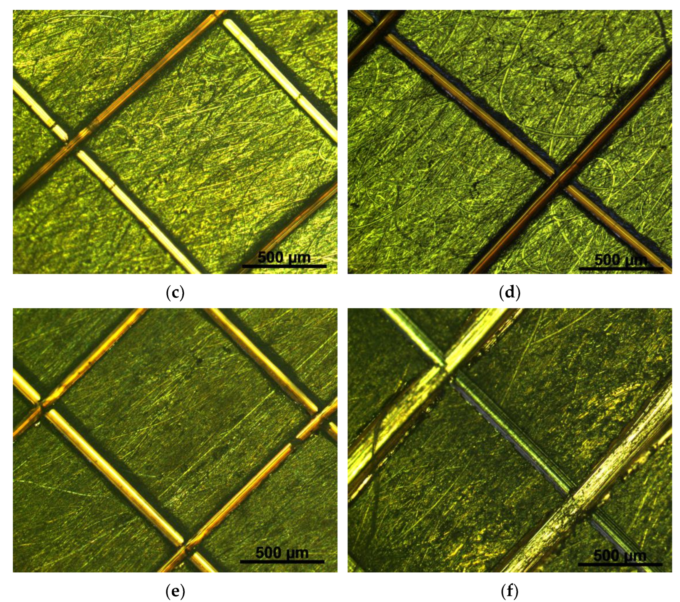 Coatings 12 00134 g002b 550