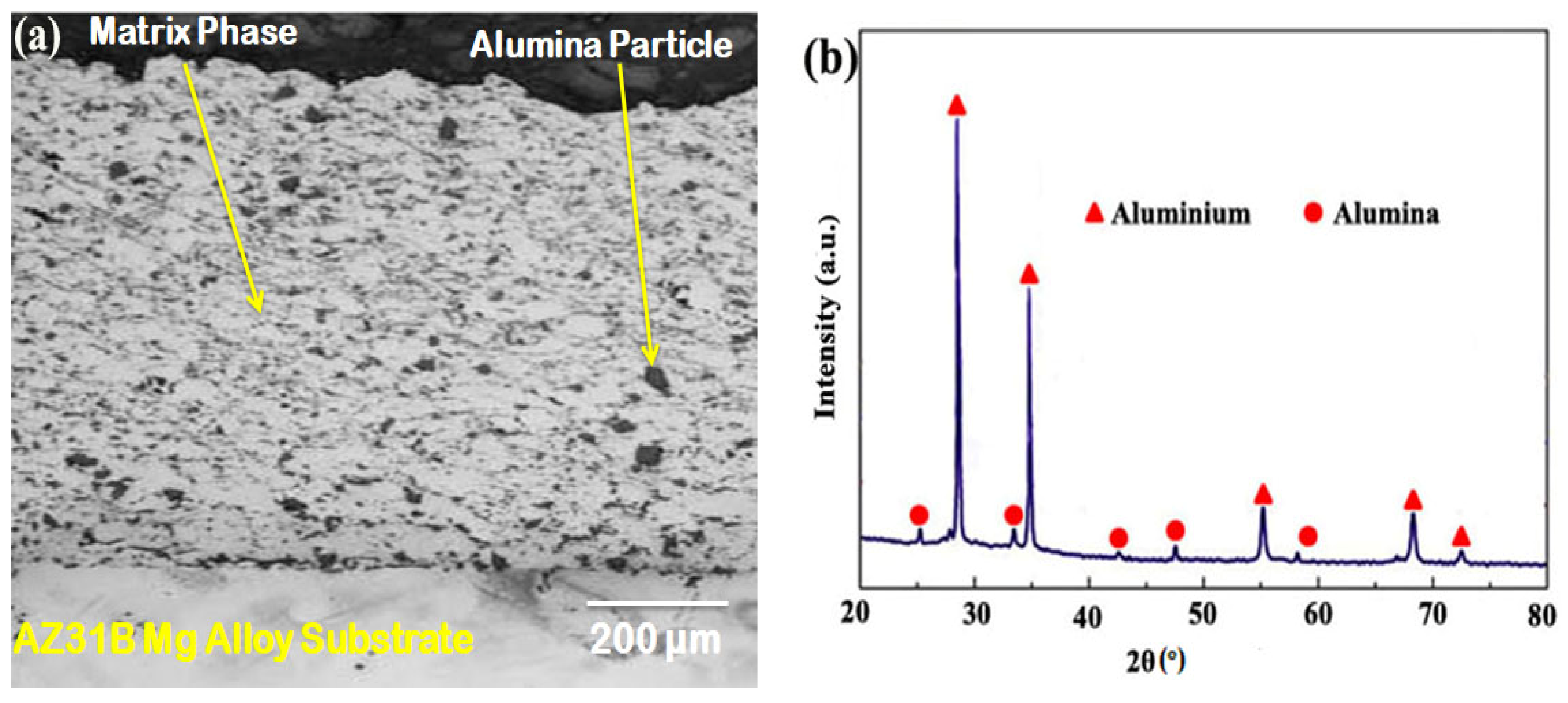 Coatings 12 00135 g003 550