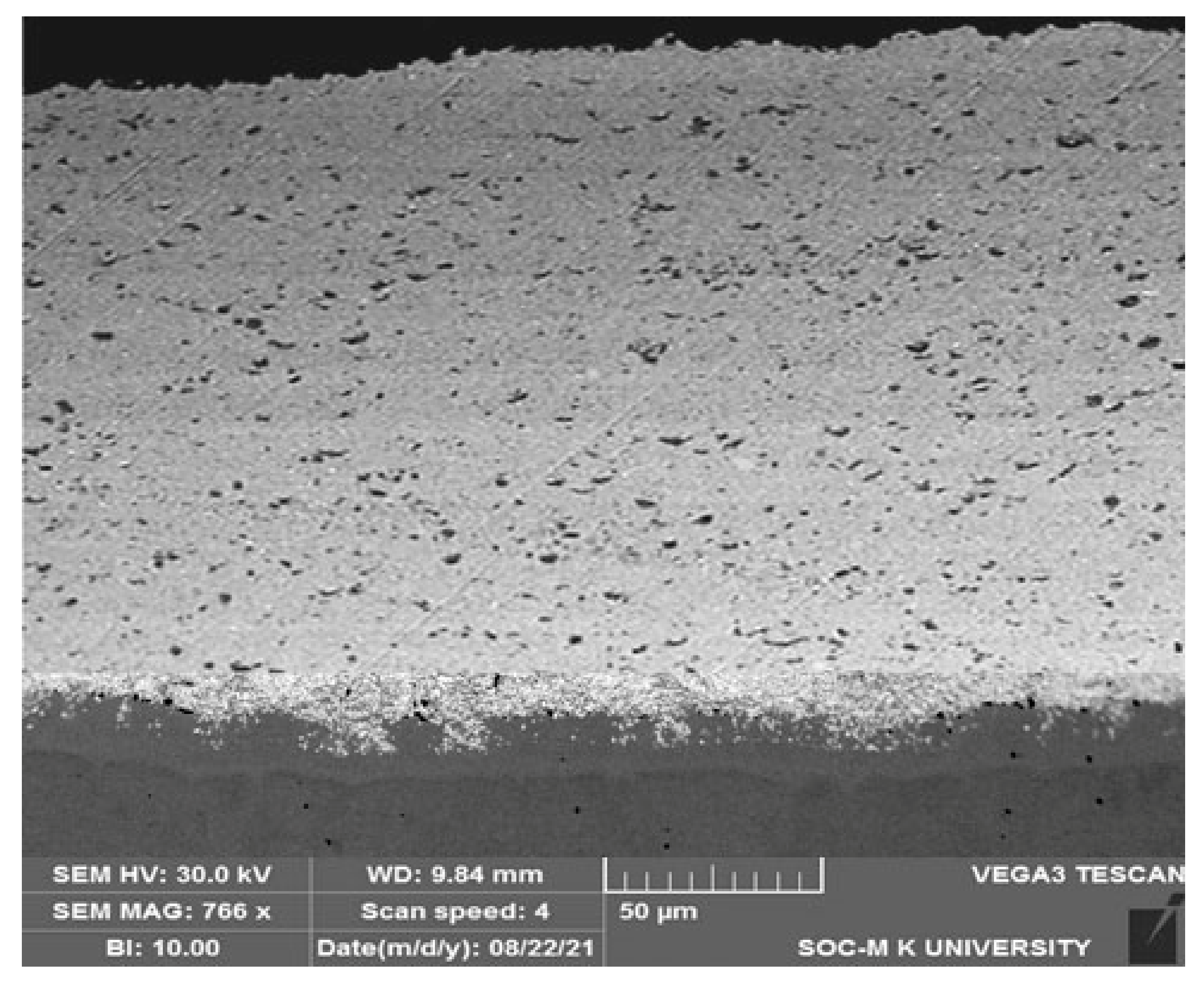 Coatings 12 00135 g004 550