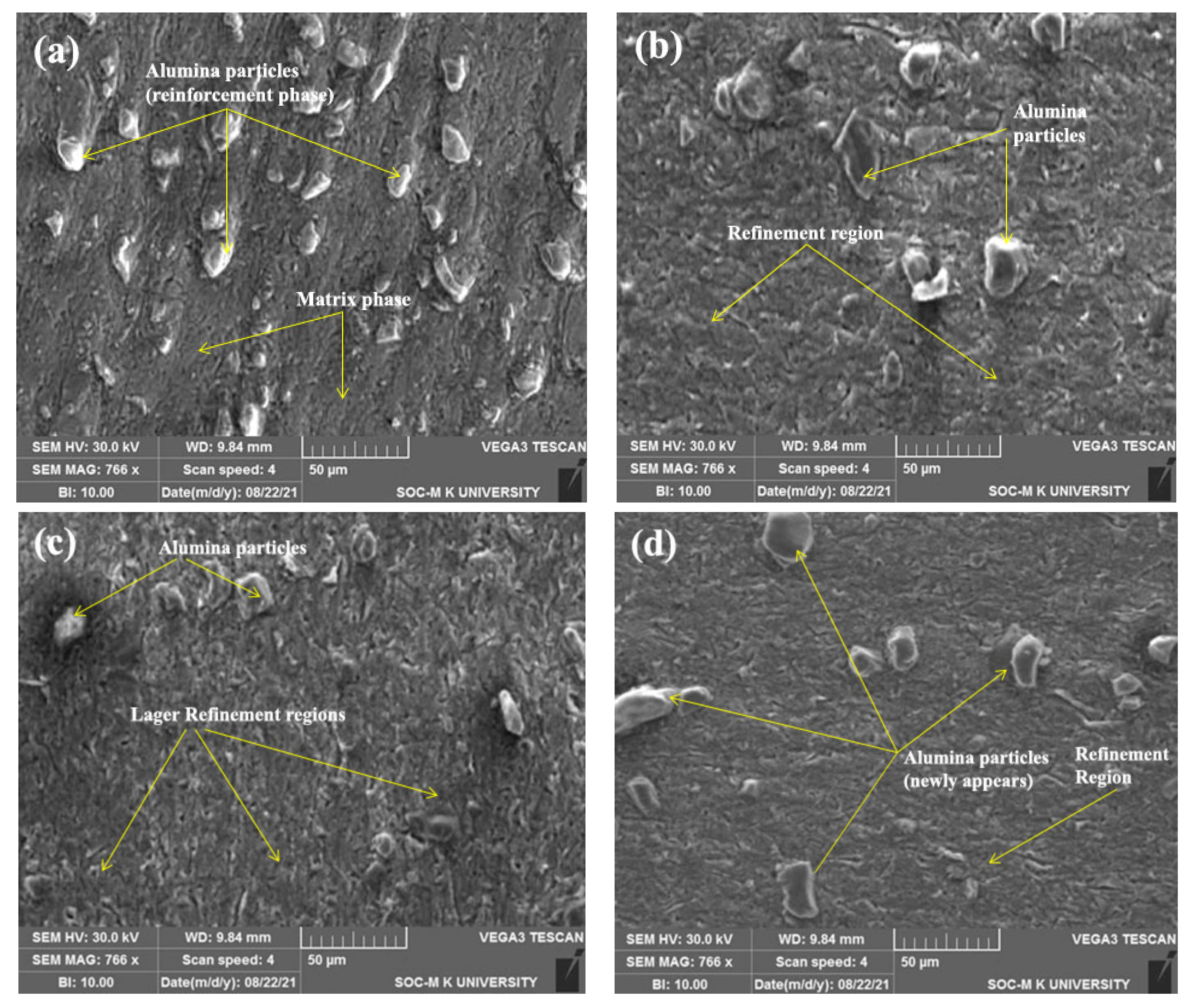 Coatings 12 00135 g005 550