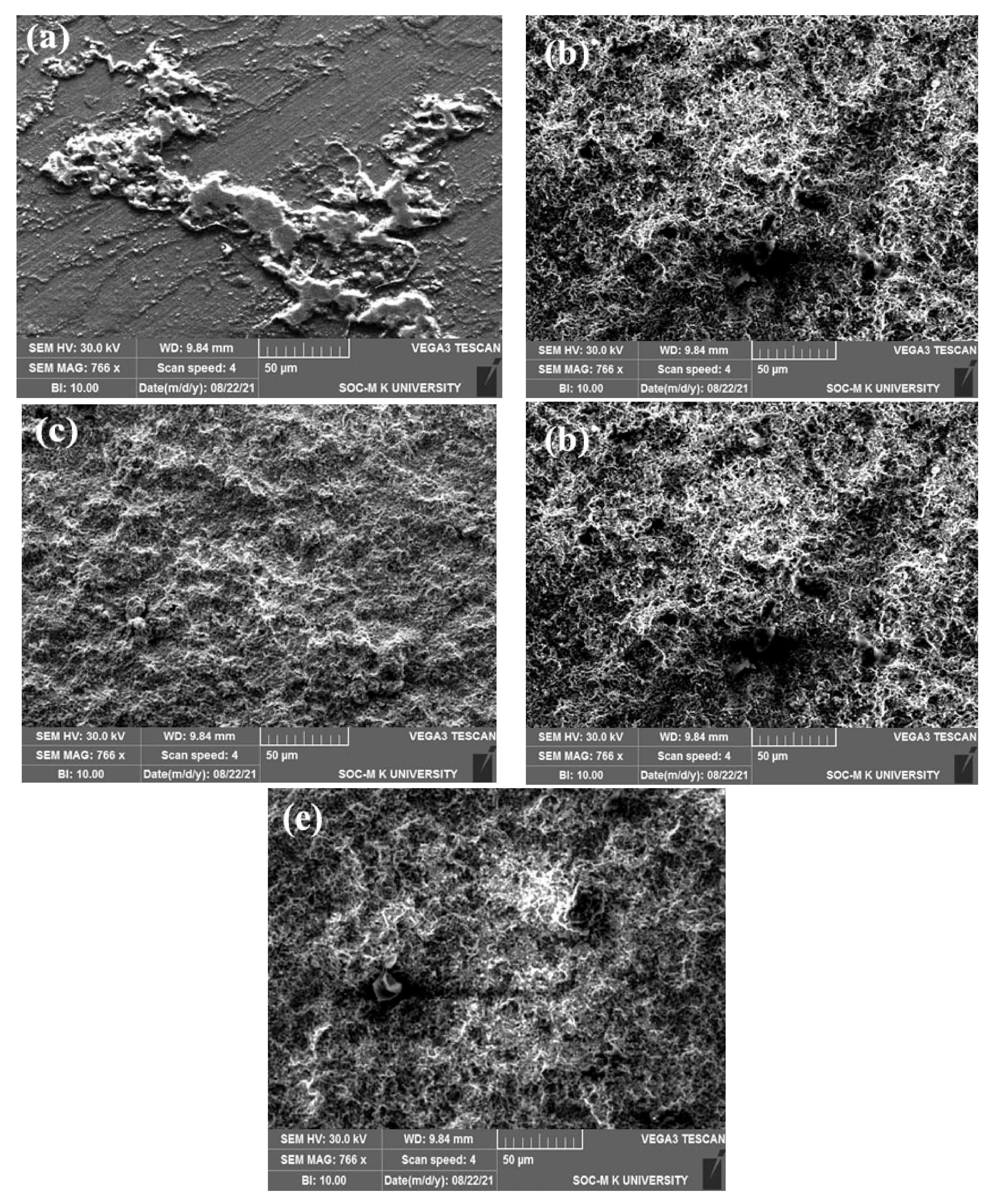 Coatings 12 00135 g008 550