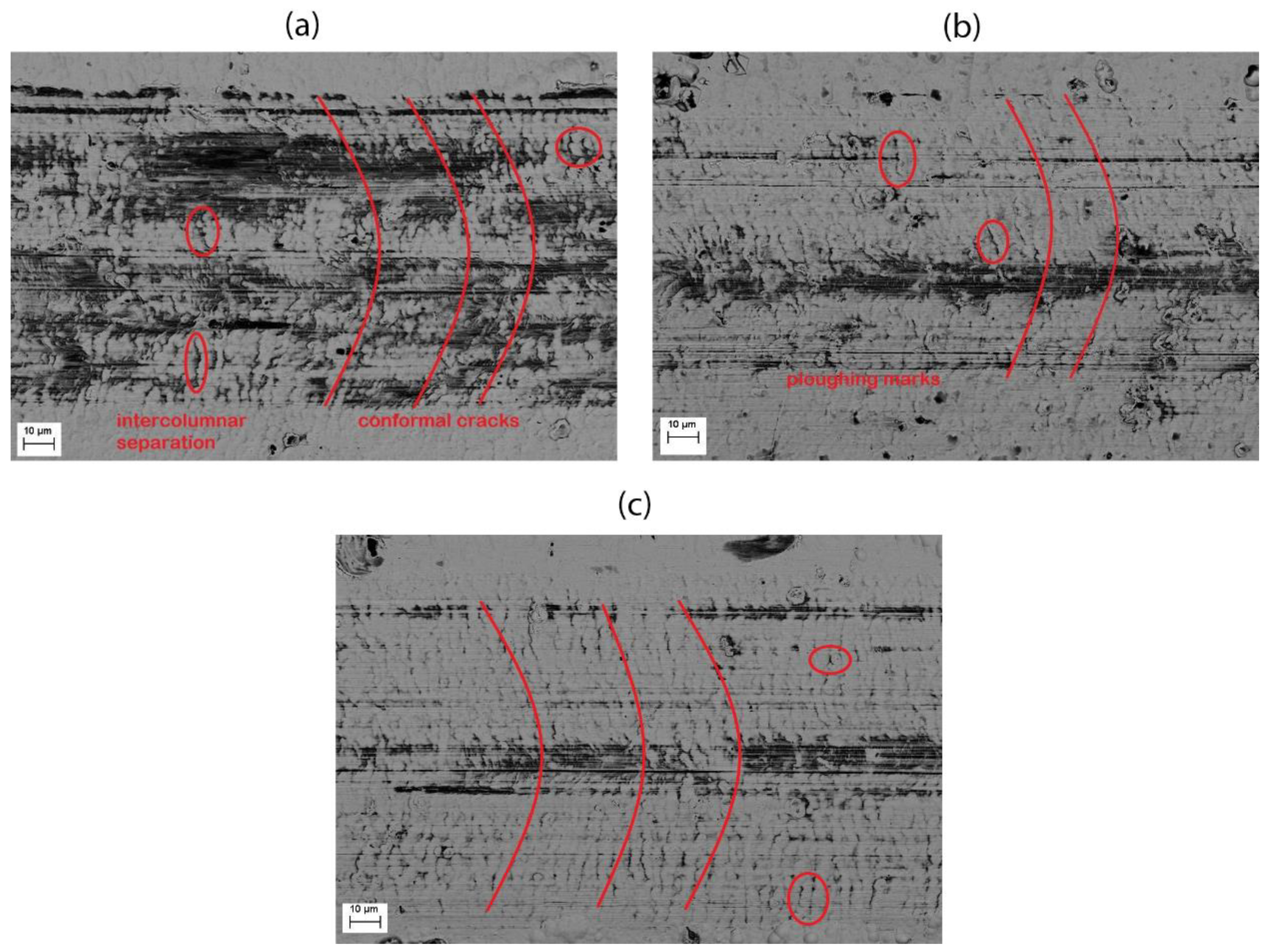 Coatings 12 00136 g010 Coatings 12 00136 g010