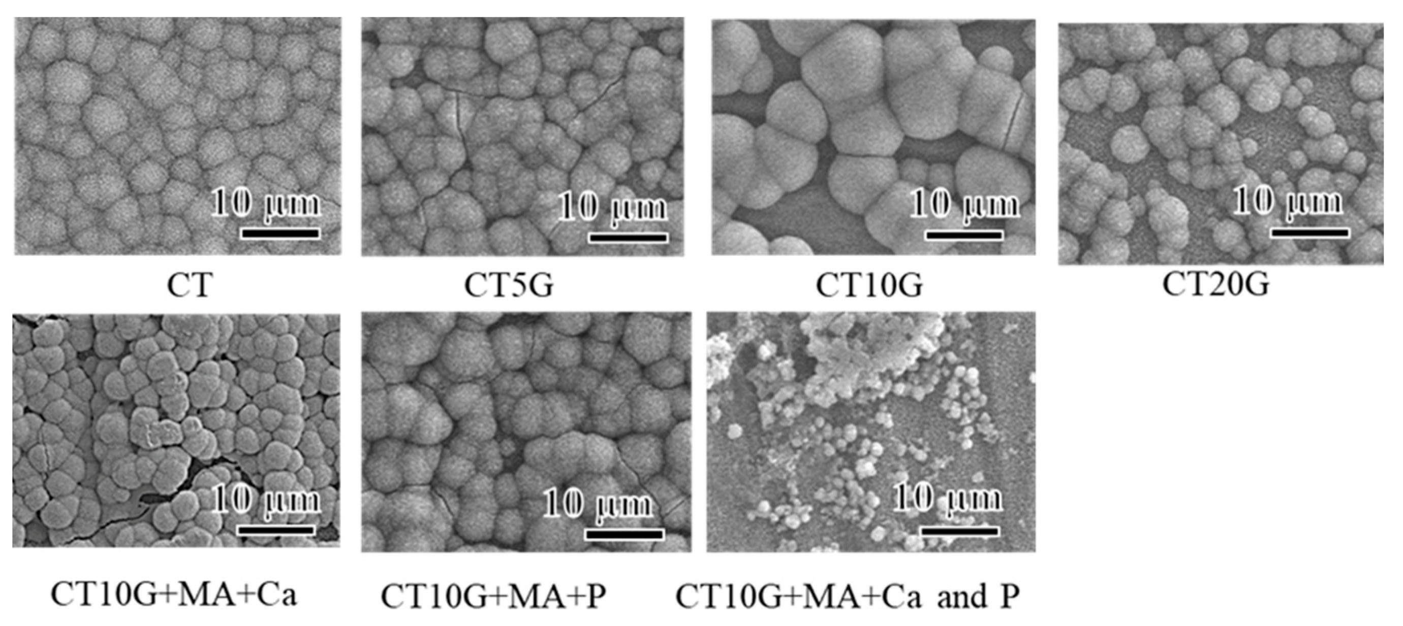 Coatings 12 00139 g004