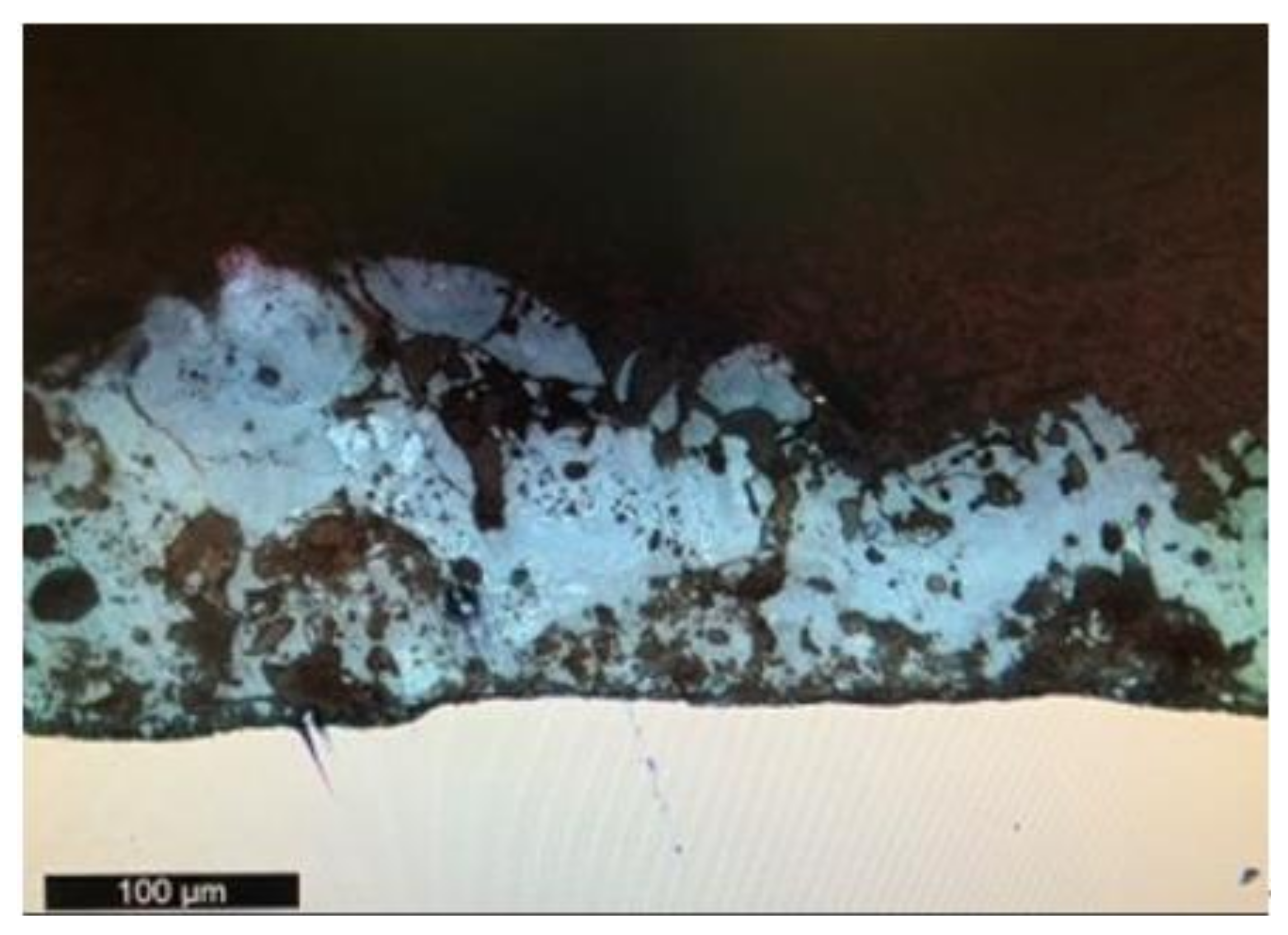 Coatings 12 00143 g001 550