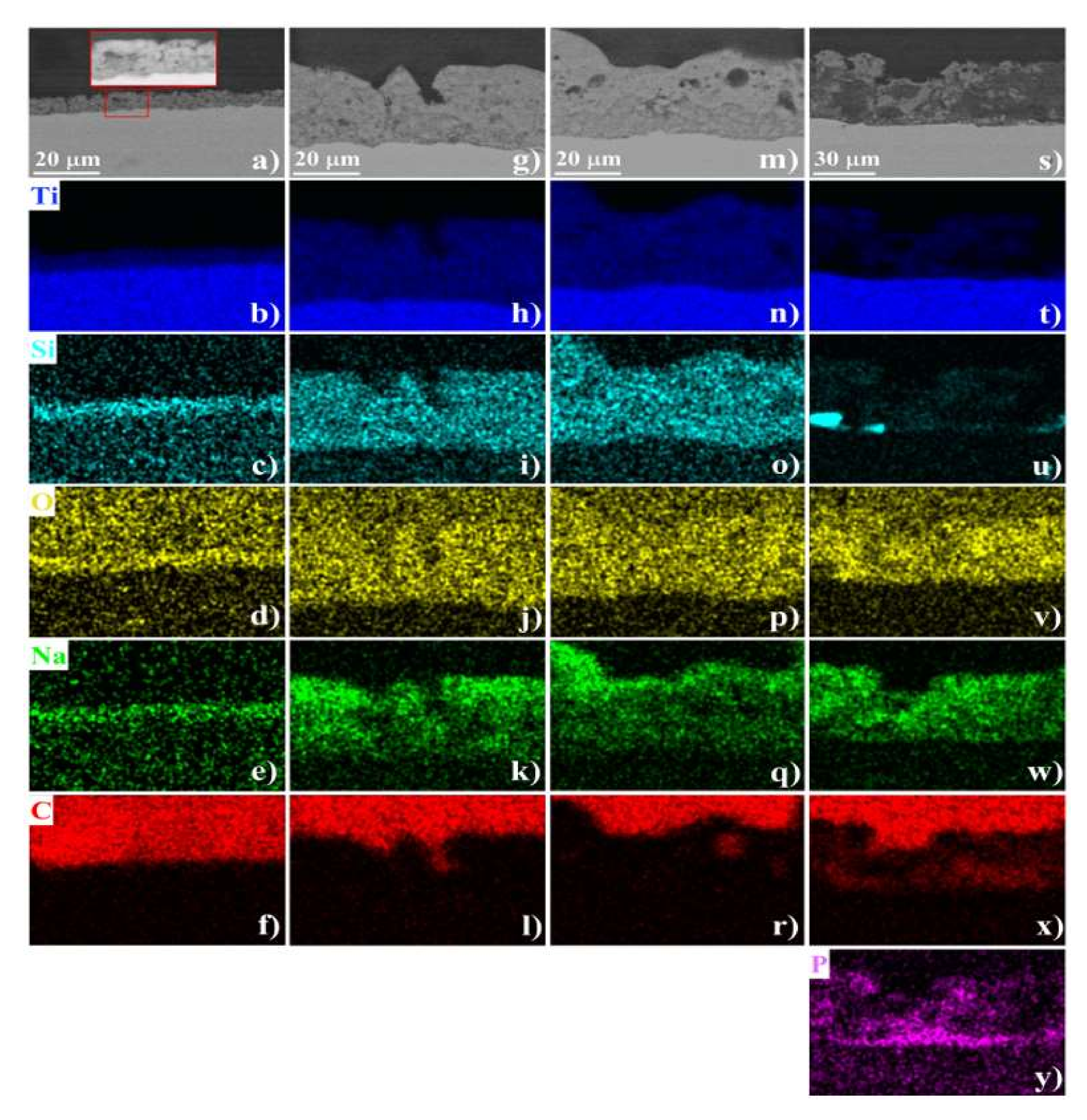 Coatings 12 00143 g005 550