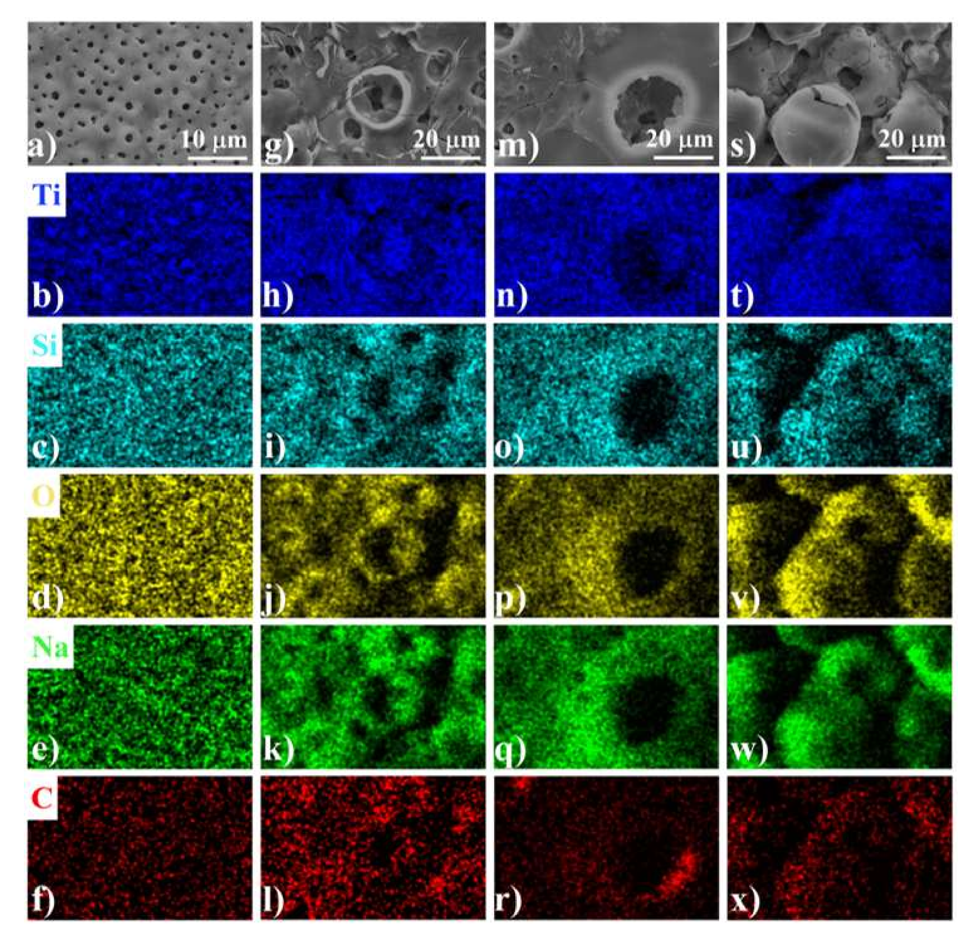 Coatings 12 00143 g006 550