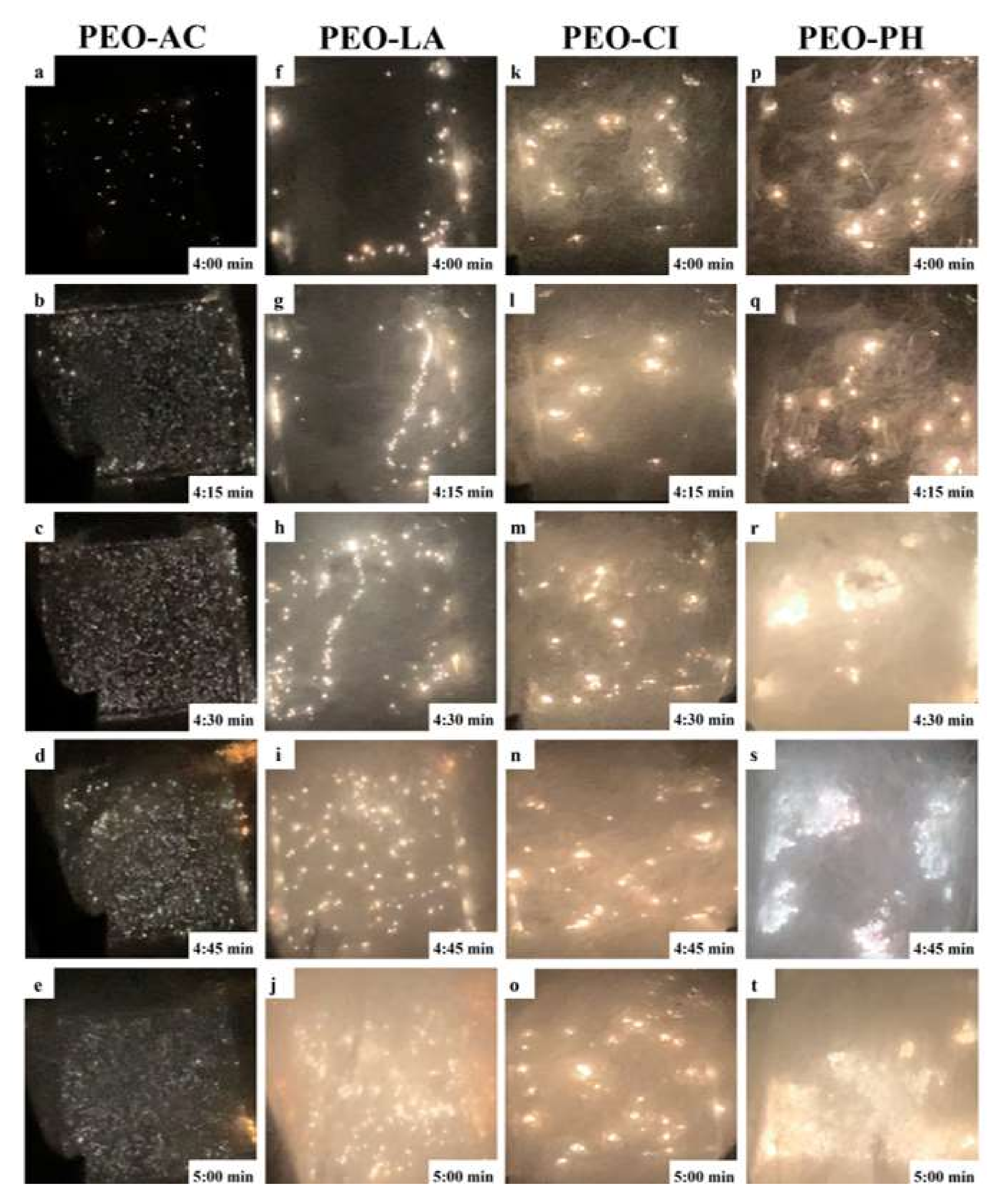 Coatings 12 00143 g012 550