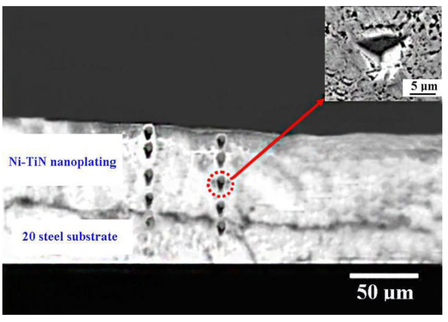 Coatings 12 00145 g004