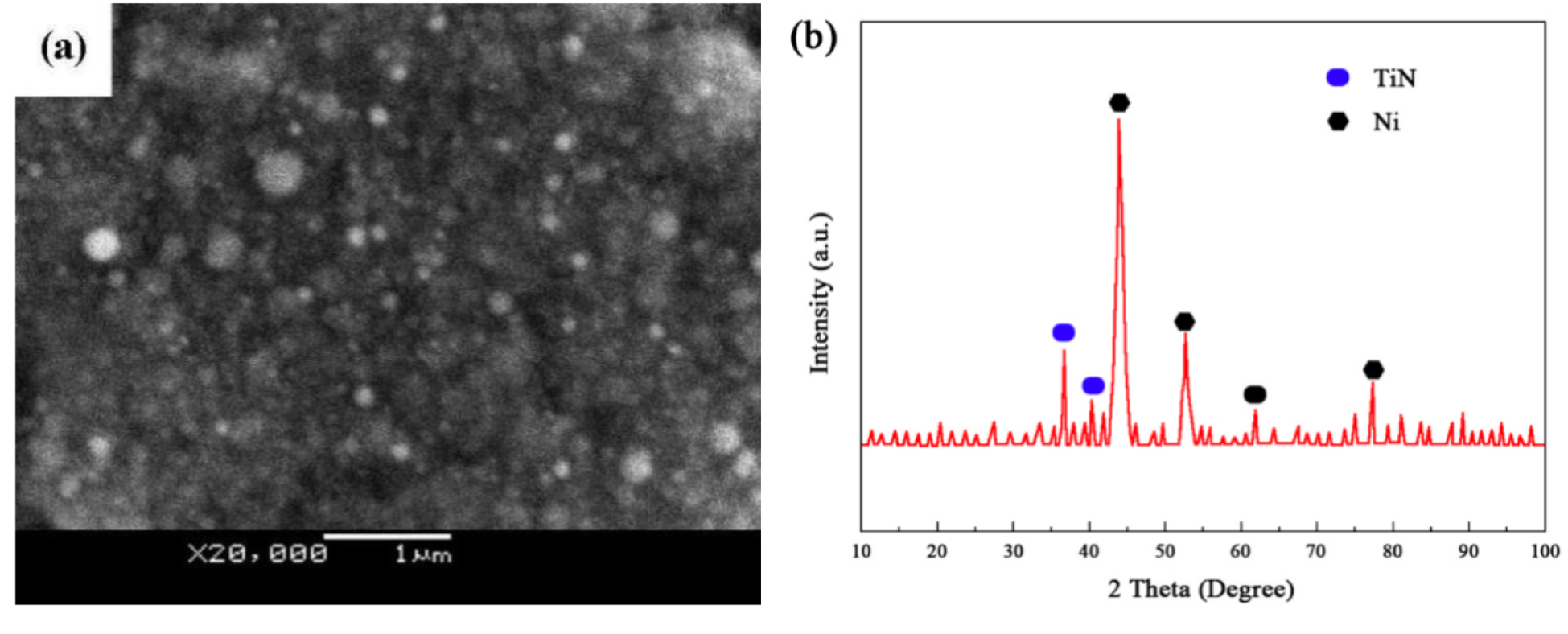 Coatings 12 00145 g005