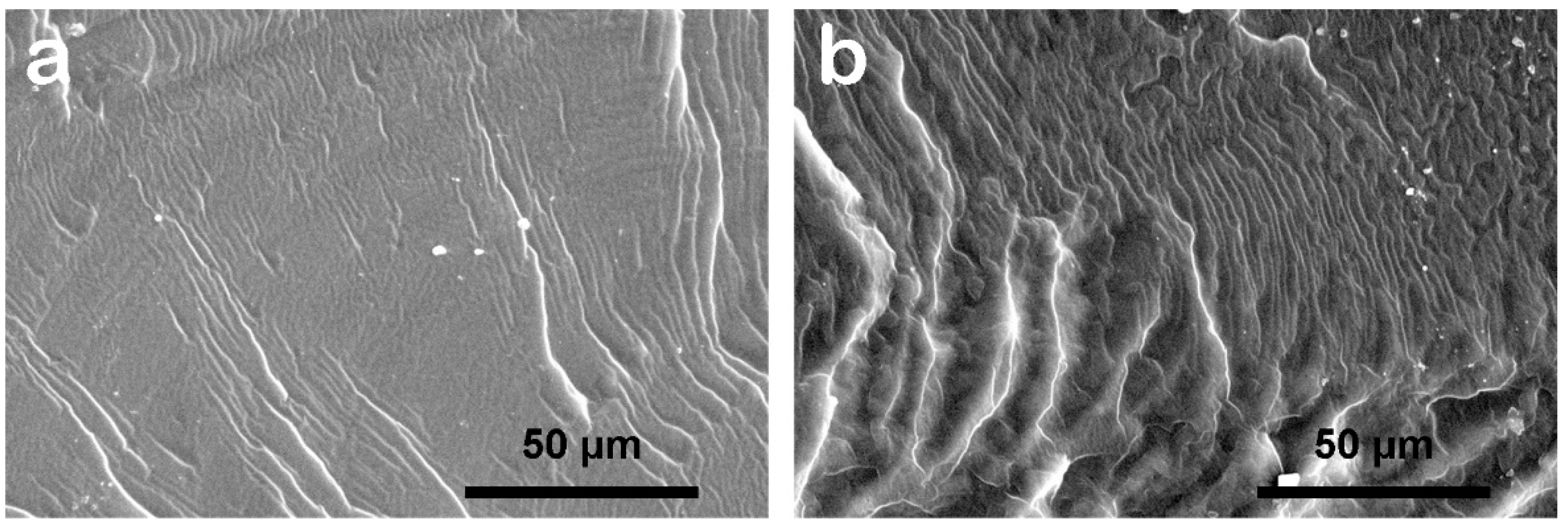 Coatings 12 00153 g006