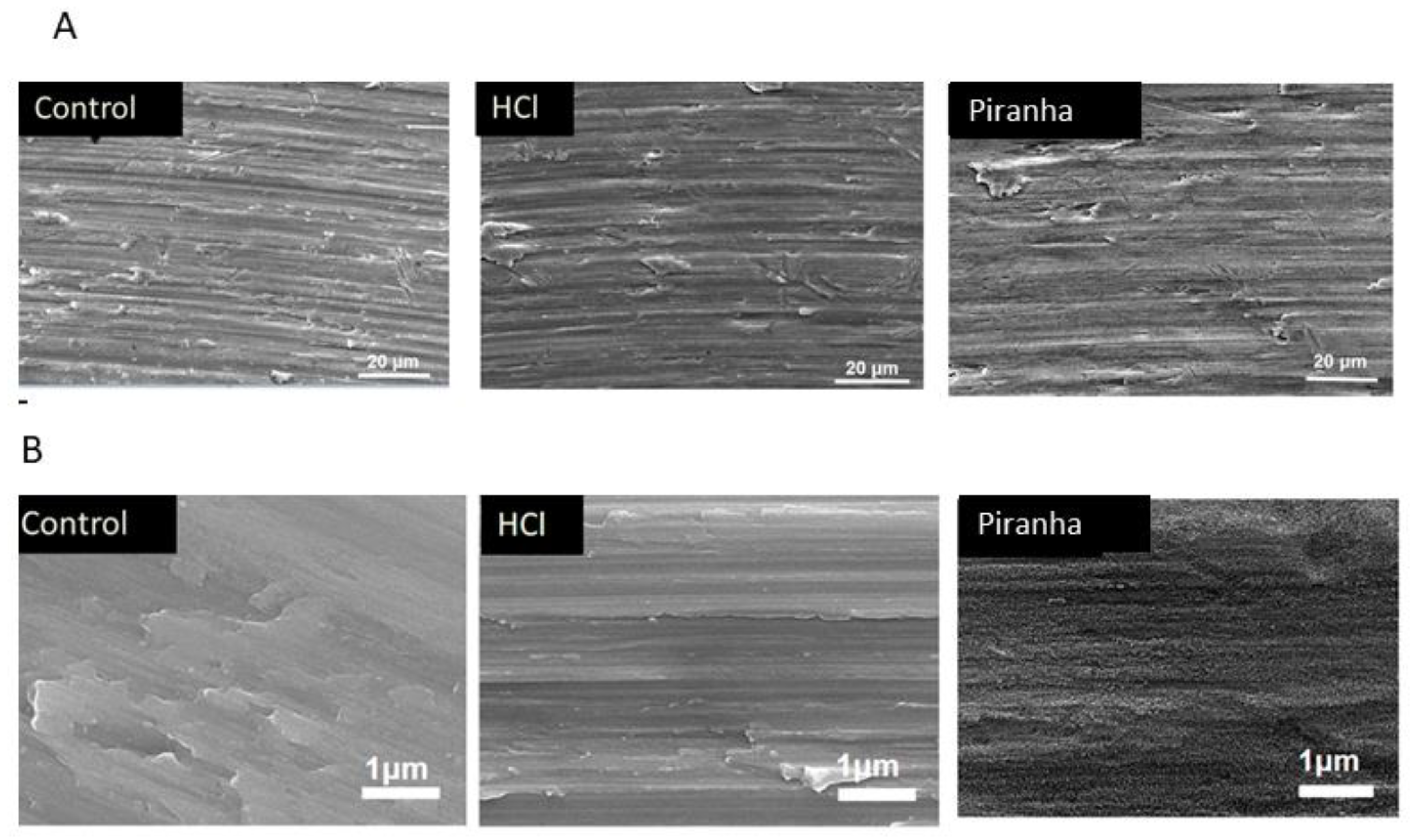 Coatings 12 00154 g003