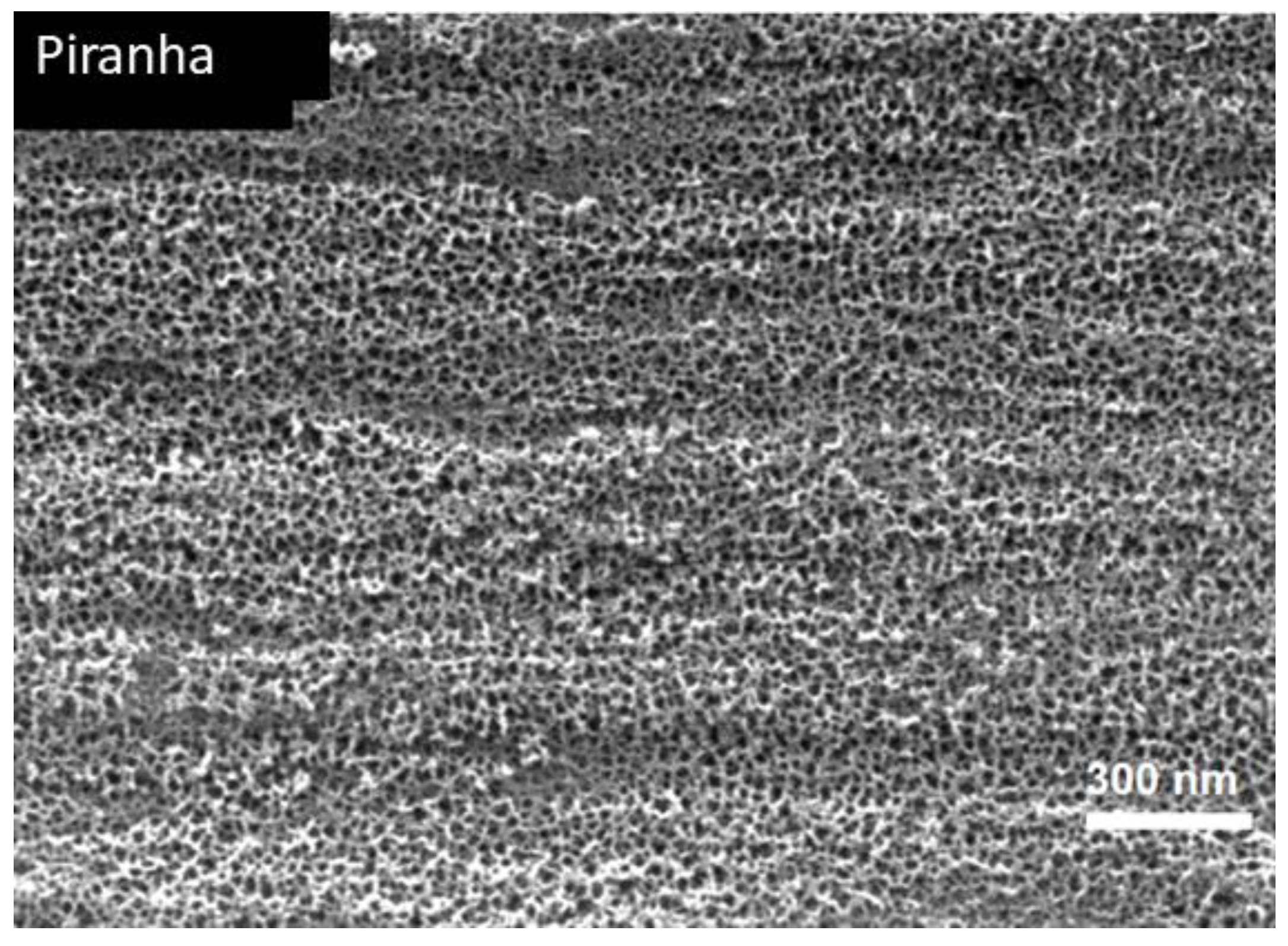 Coatings 12 00154 g004