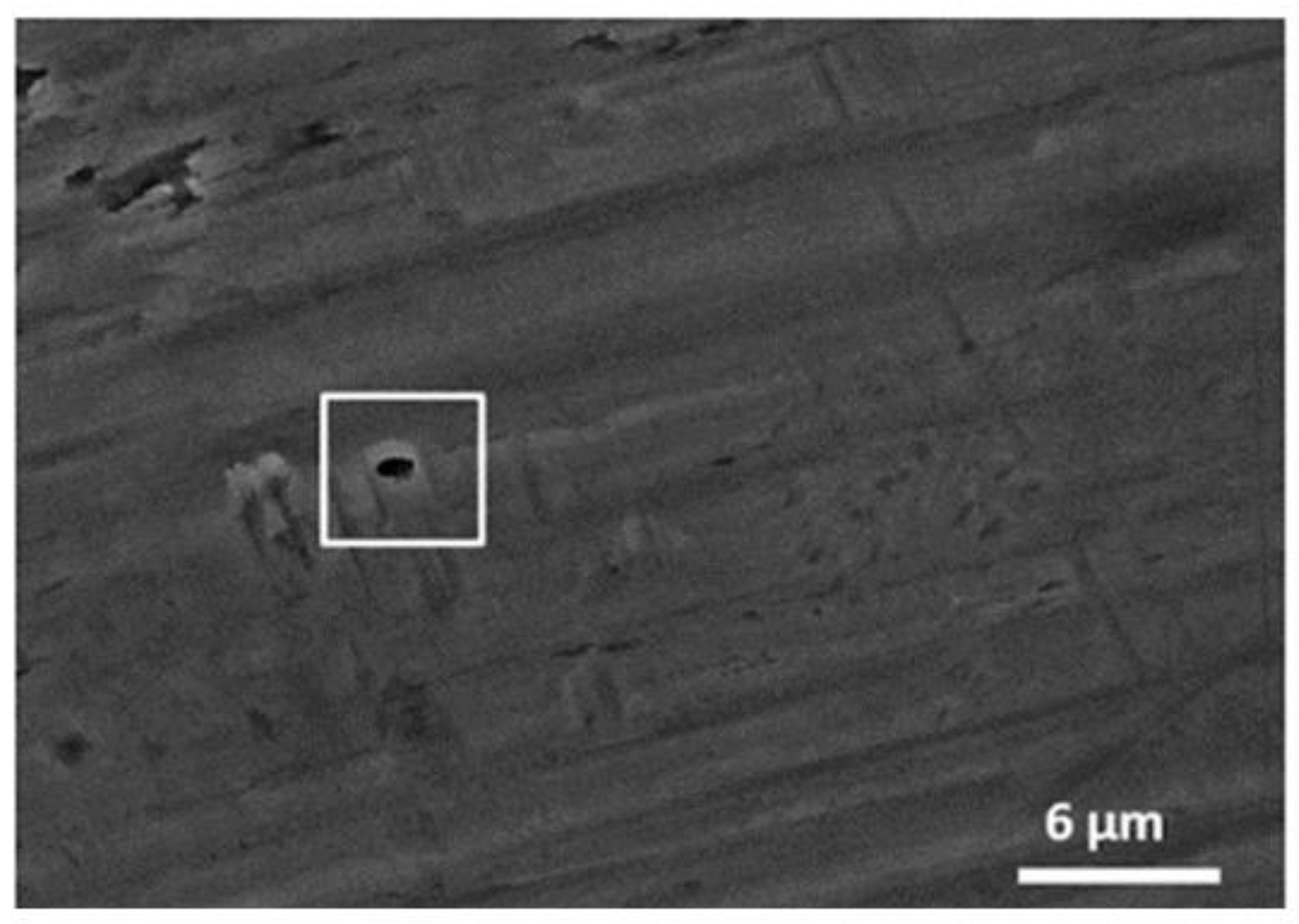 Coatings 12 00154 g007