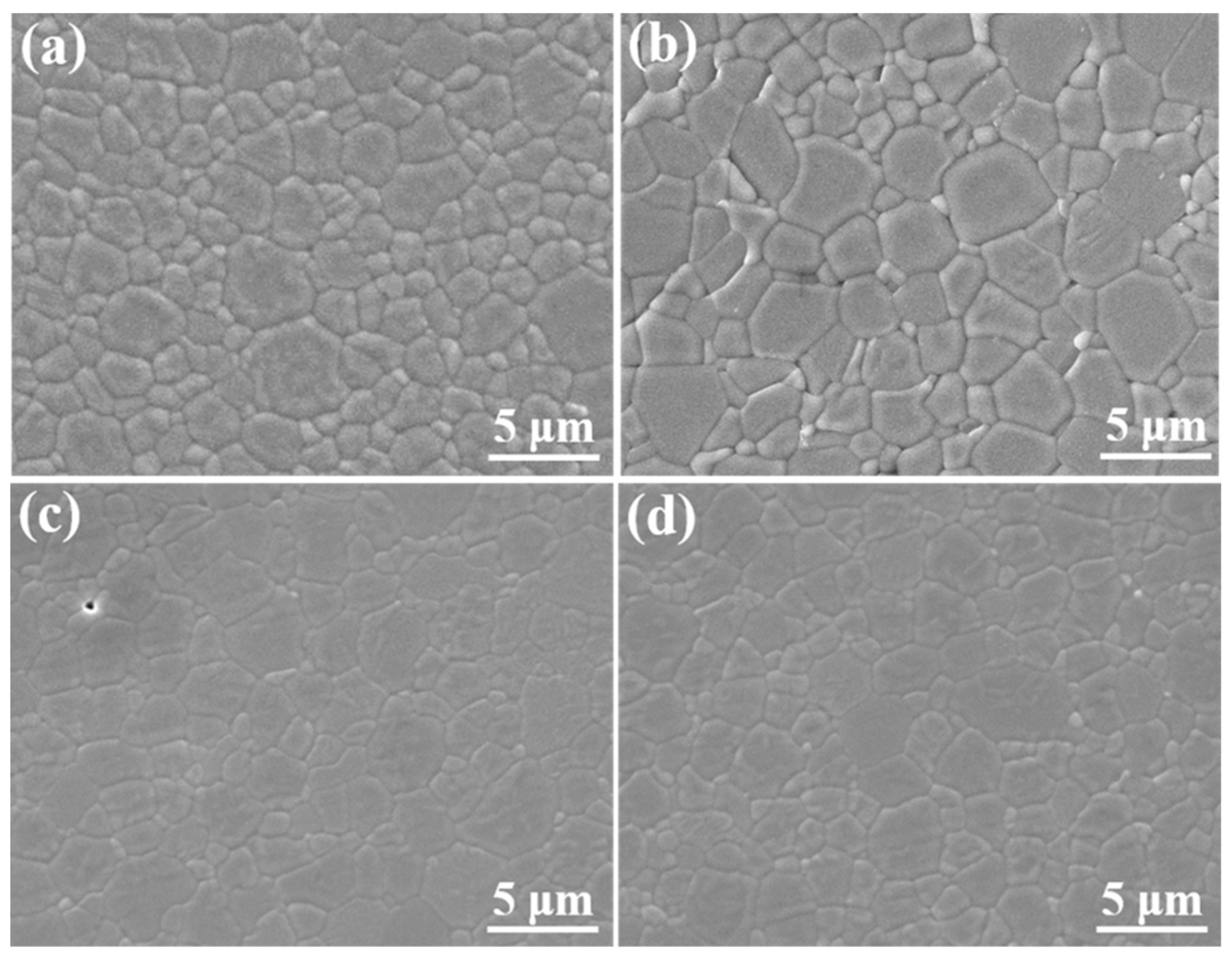 Coatings 12 00155 g005 550