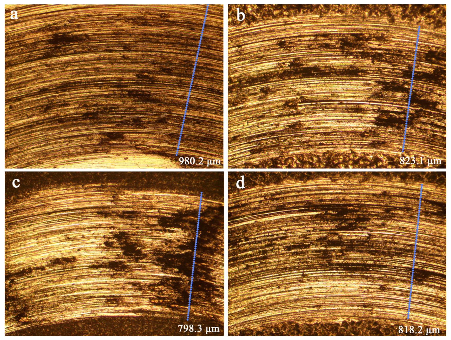 Coatings 12 00157 g008