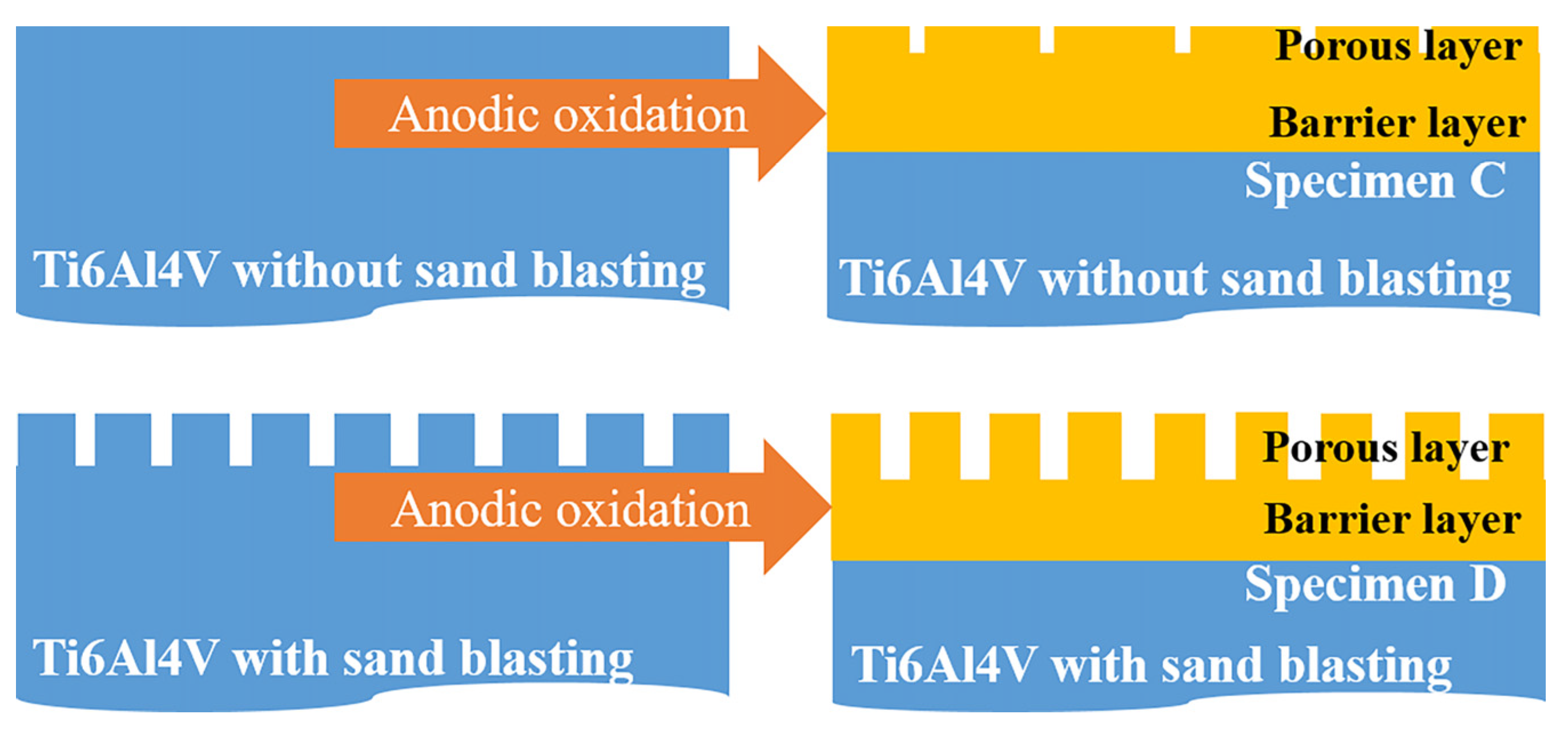 Coatings 12 00157 g013