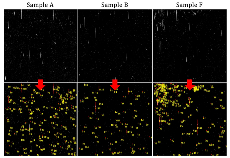 Coatings 12 00158 g002 Coatings 12 00158 g002