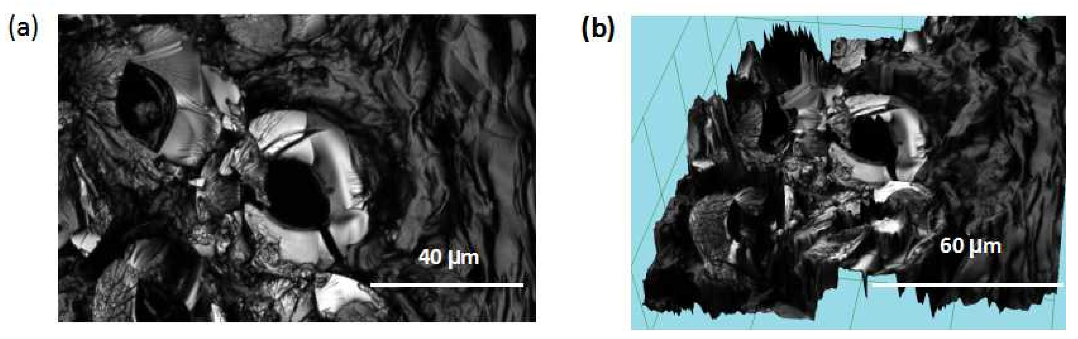 Coatings 12 00160 g001 550