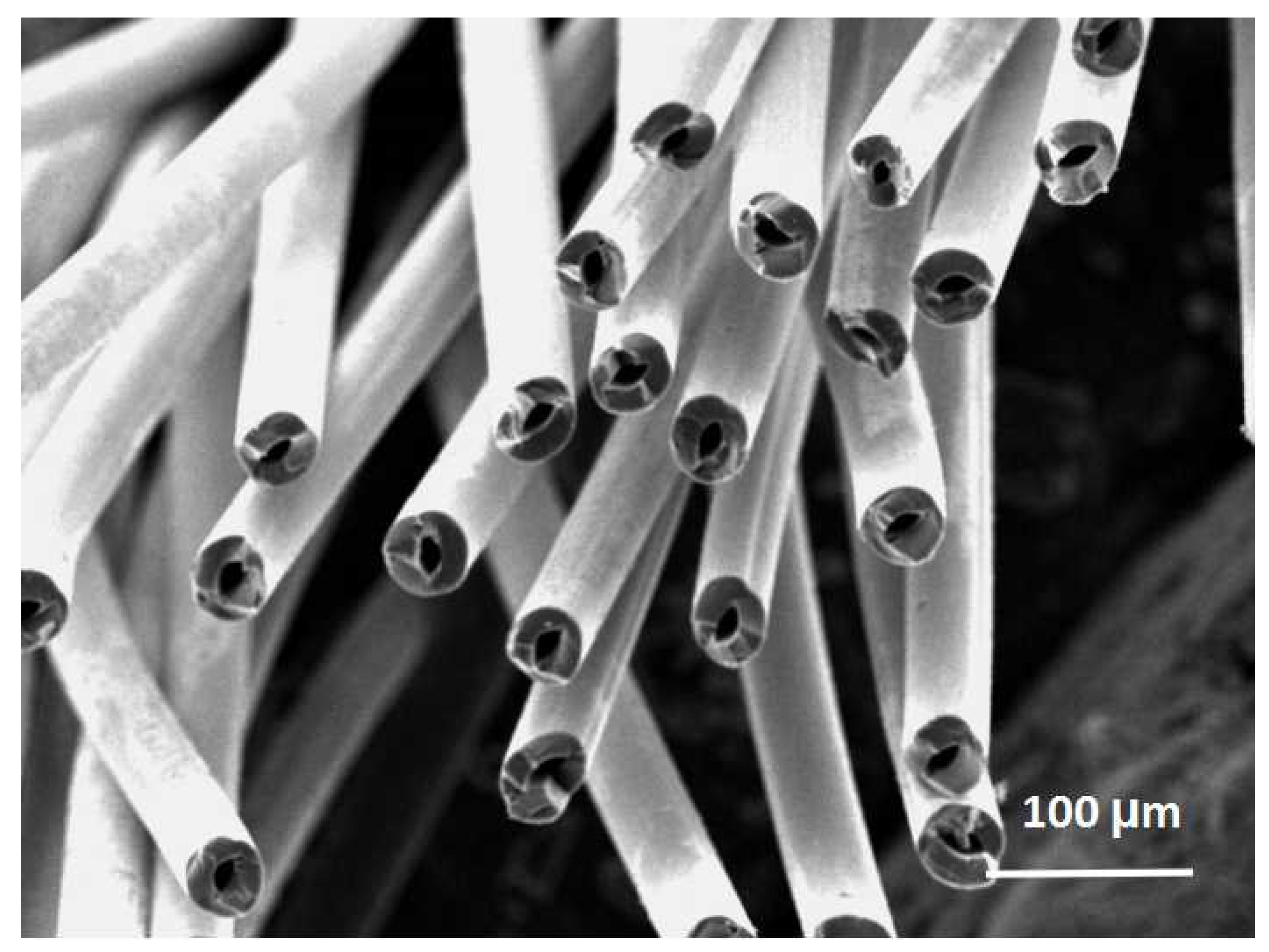 Coatings 12 00160 g002 550