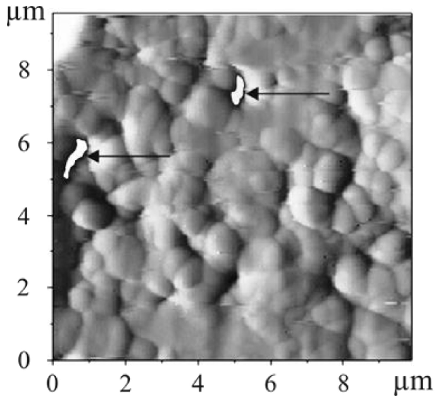 Coatings 12 00161 g006