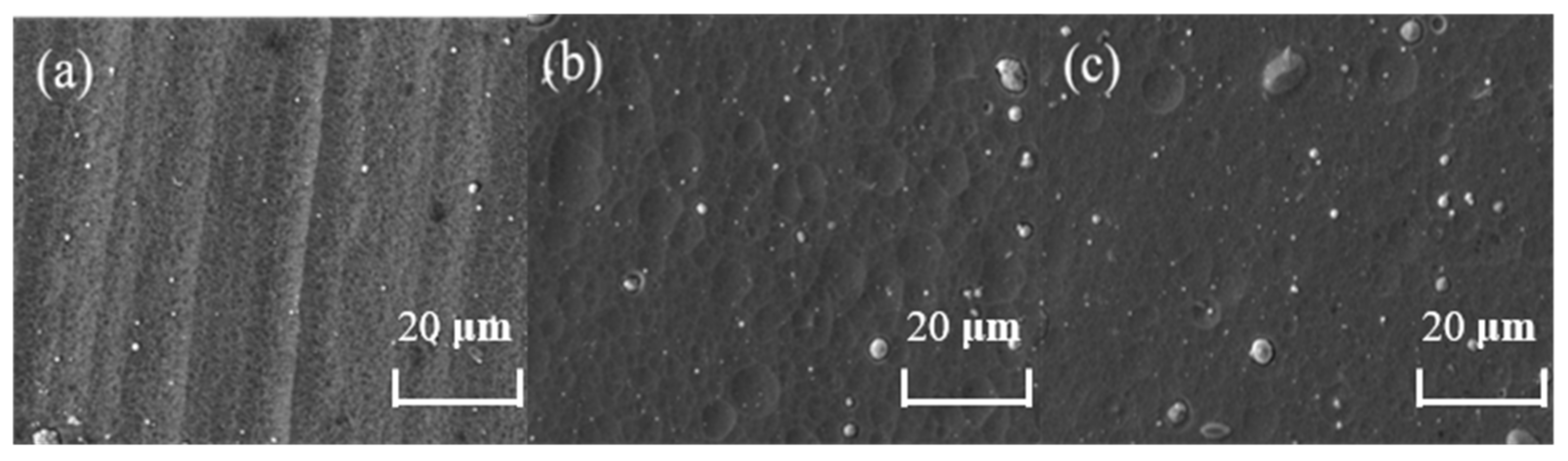 Coatings 12 00163 g004 550