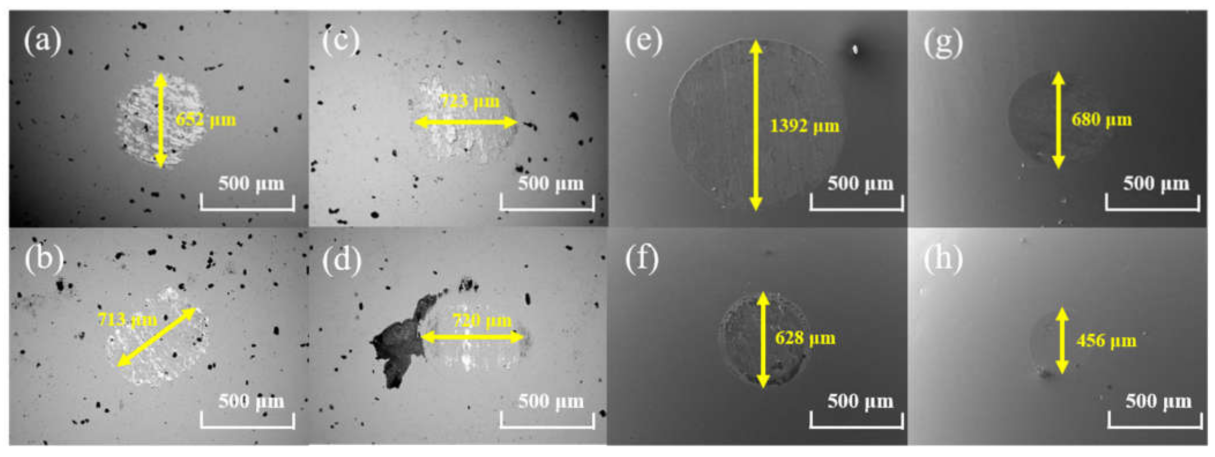 Coatings 12 00163 g008 550