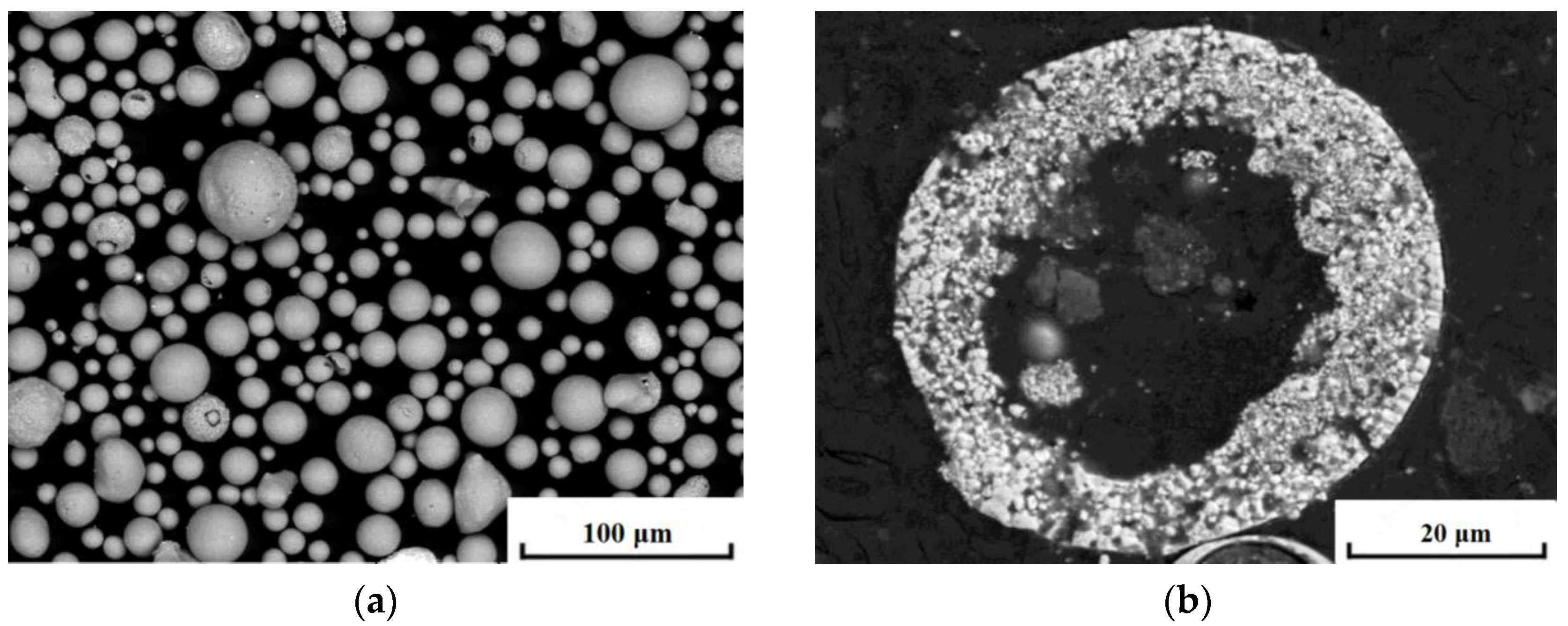 Coatings 12 00165 g001